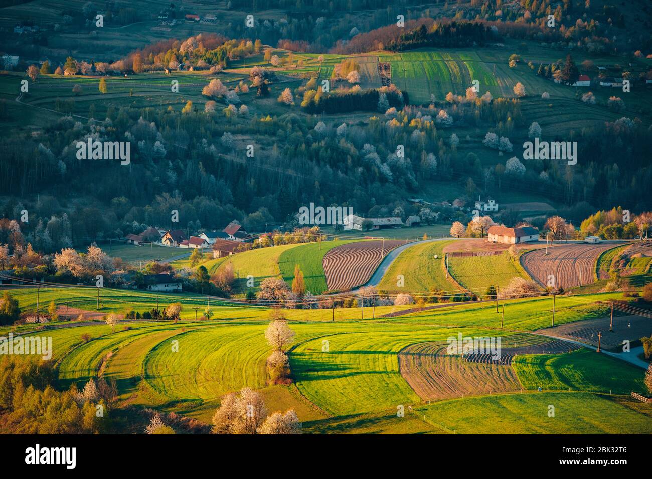 Luce del mattino nel paesaggio primaverile. Bei campi agricoli rurali verdi, piccole case, alberi in fiore, luce calda alba. Slovacchia, Europa Foto Stock