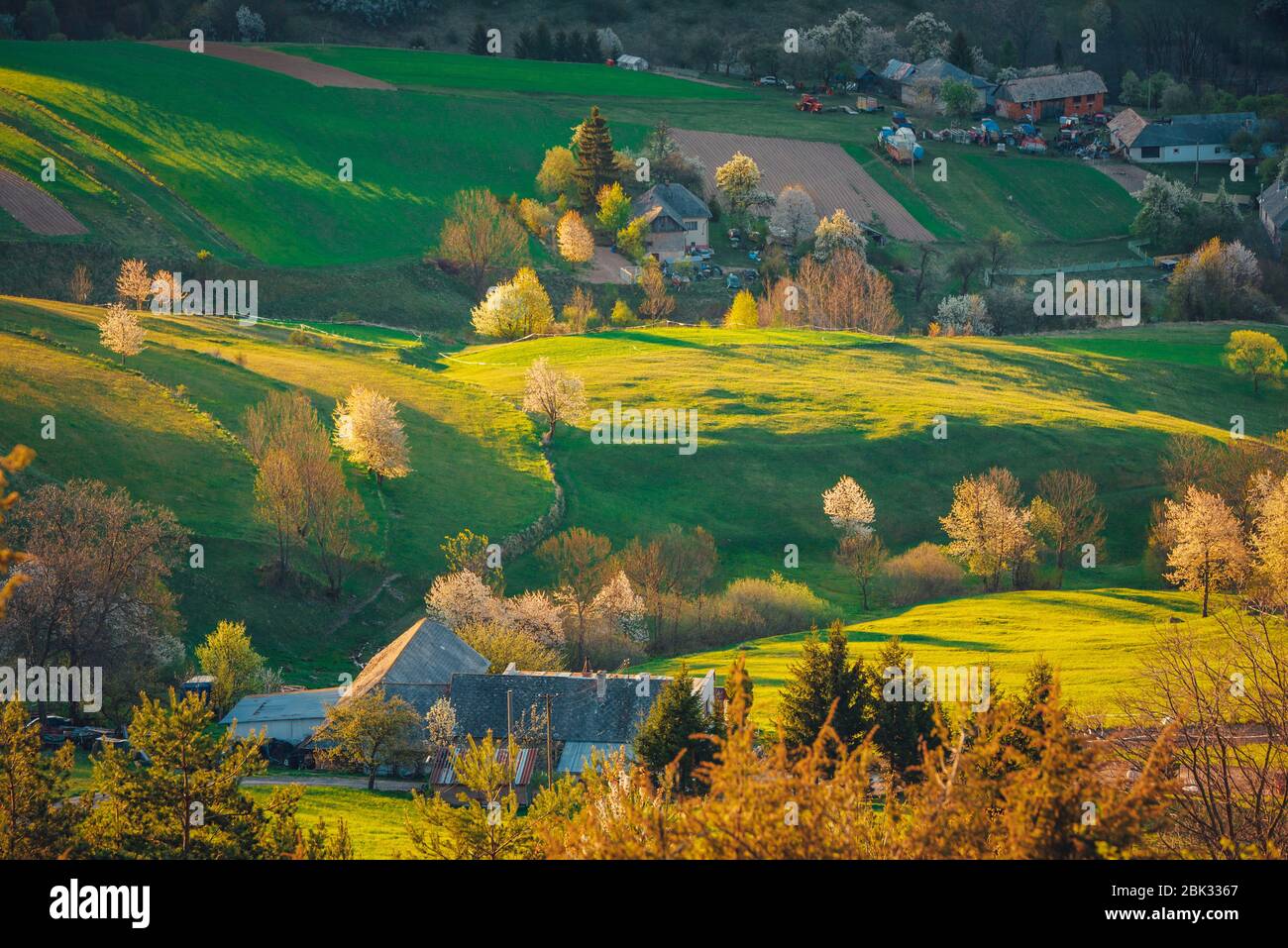 Luce arancione e gialla alba primavera in bella fioritura rurale paesaggio Foto Stock