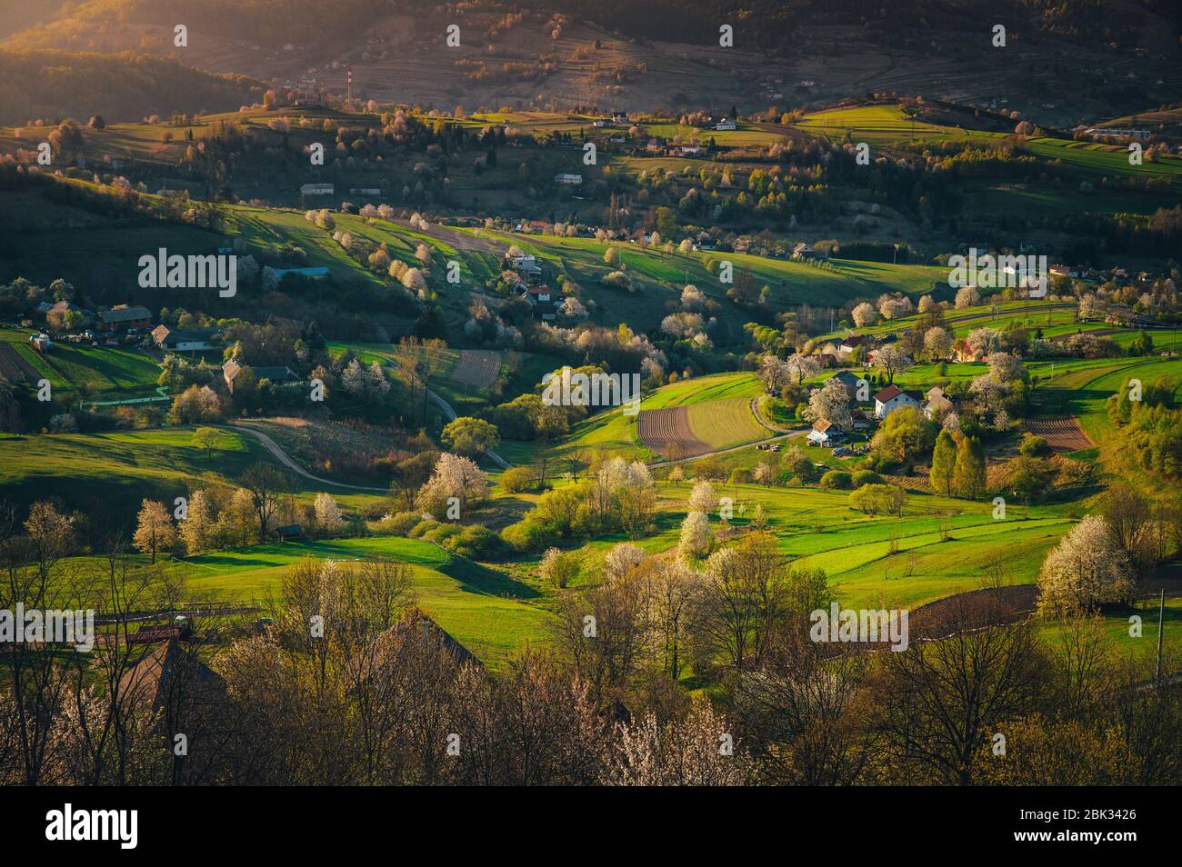 Alba primaverile in un paesaggio rurale con ciliegie fiorite, campi verdi e piccole case. I primi raggi del sole nel villaggio Hrinov Foto Stock
