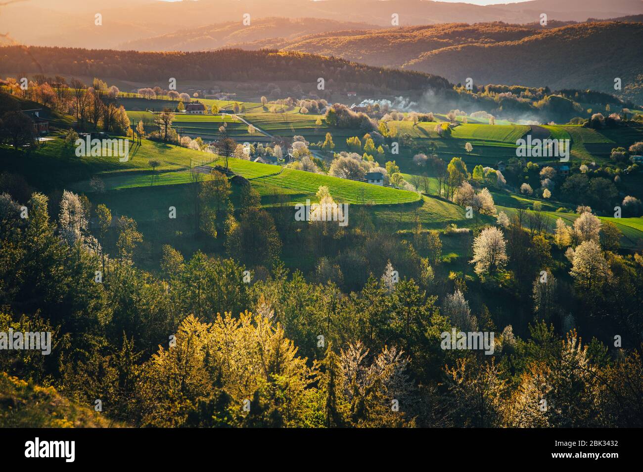 Ciliegia primavera, prati e campi paesaggio in Slovacchia. Alberi di ciliegio in fiore. Paese fresco a Hrinova. Foto Stock