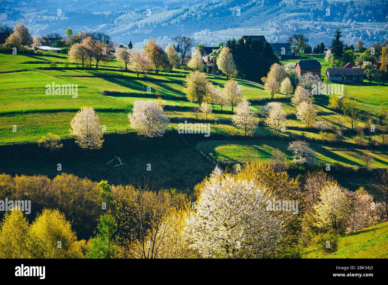 Luce del mattino nel paesaggio primaverile. Bei campi agricoli rurali verdi, piccole case, alberi in fiore, luce calda alba. Slovacchia, Europa Foto Stock