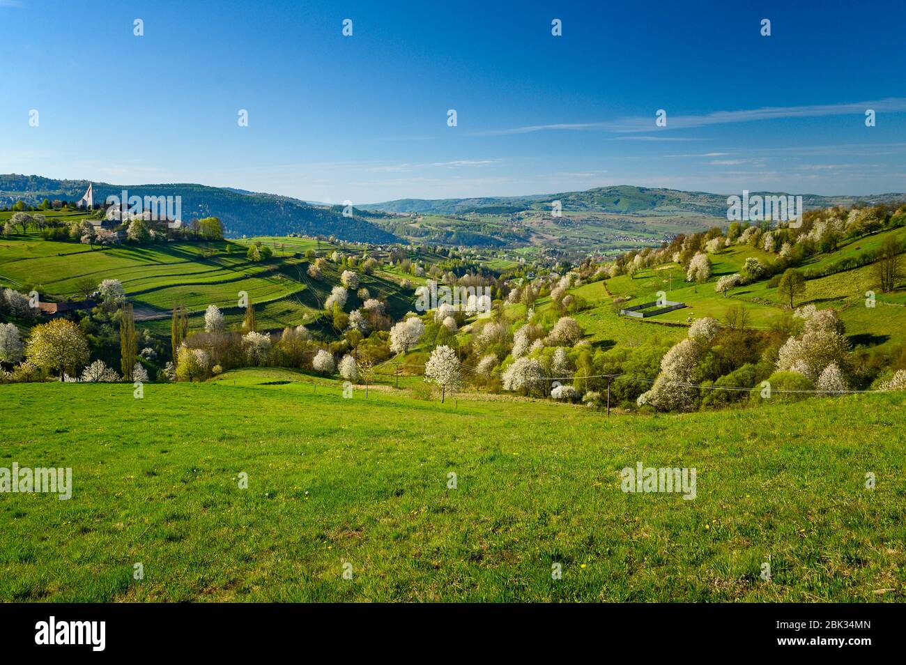 Luce del mattino nel paesaggio primaverile. Bei campi agricoli rurali verdi, piccole case, alberi in fiore, luce calda alba. Slovacchia, Europa Foto Stock