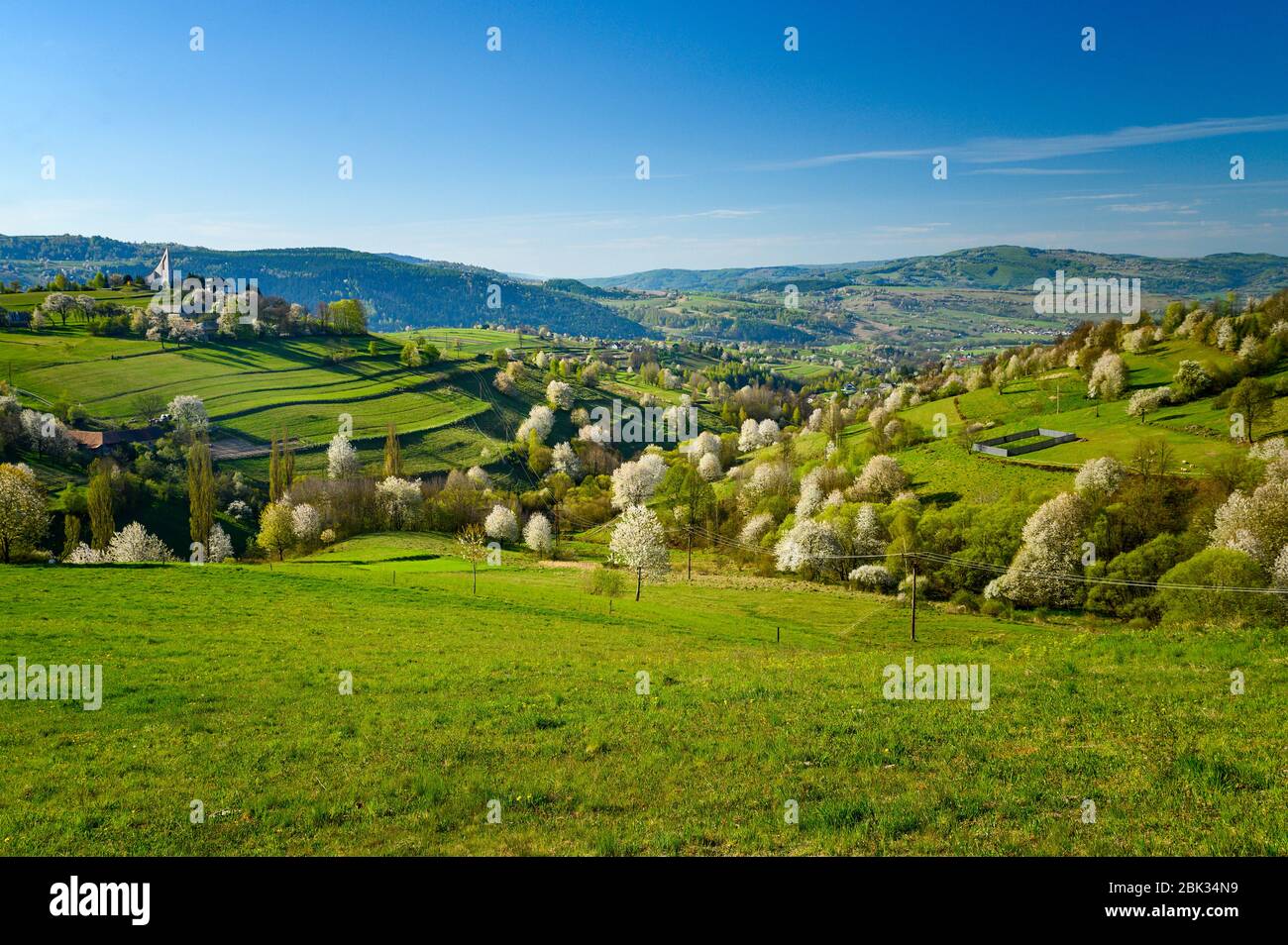 Verde paesaggio primaverile, prati, alberi di ciliegio in fiore e bella vista Foto Stock