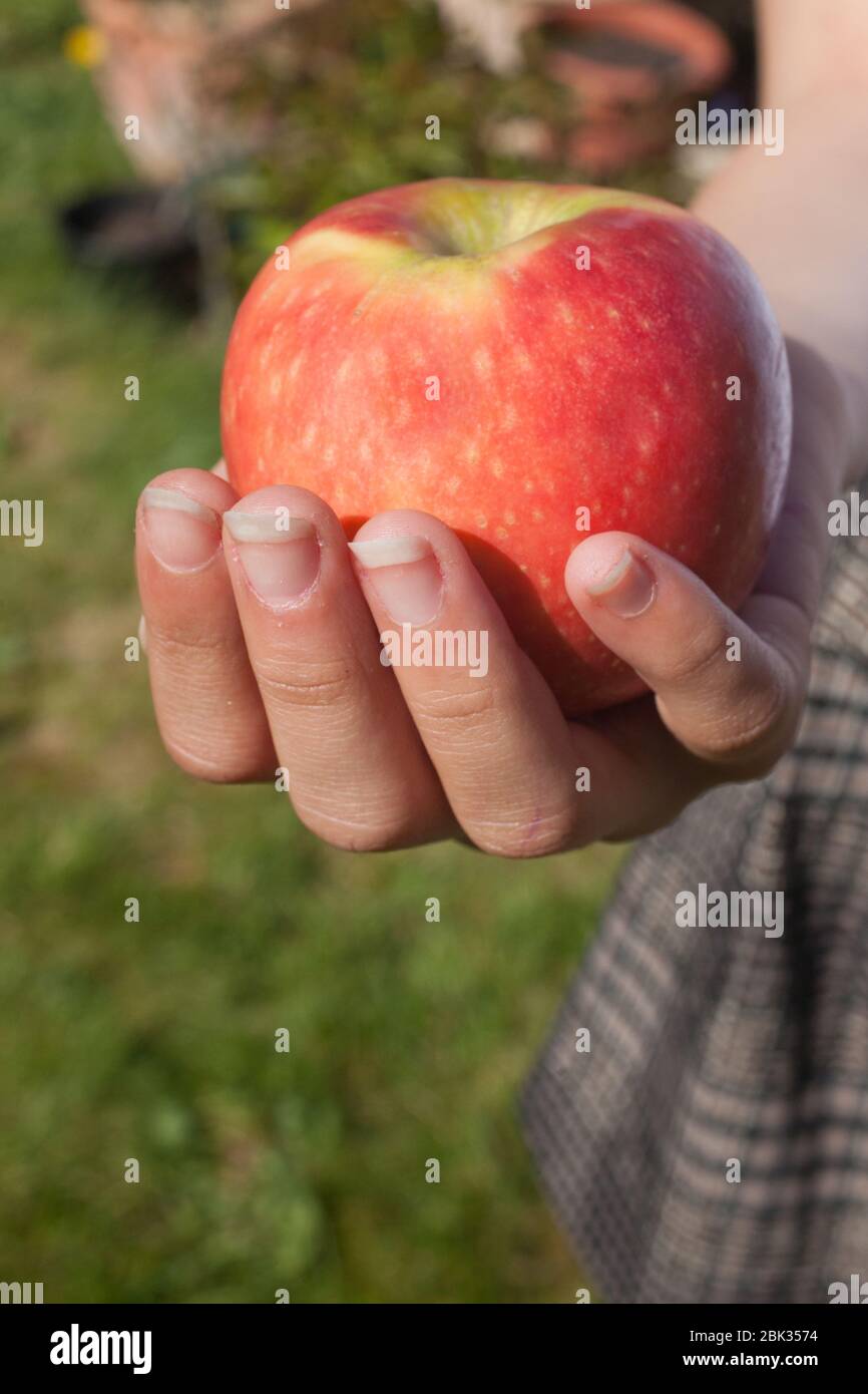 Una mela rossa che è tenuta in mano di un bambino Foto Stock