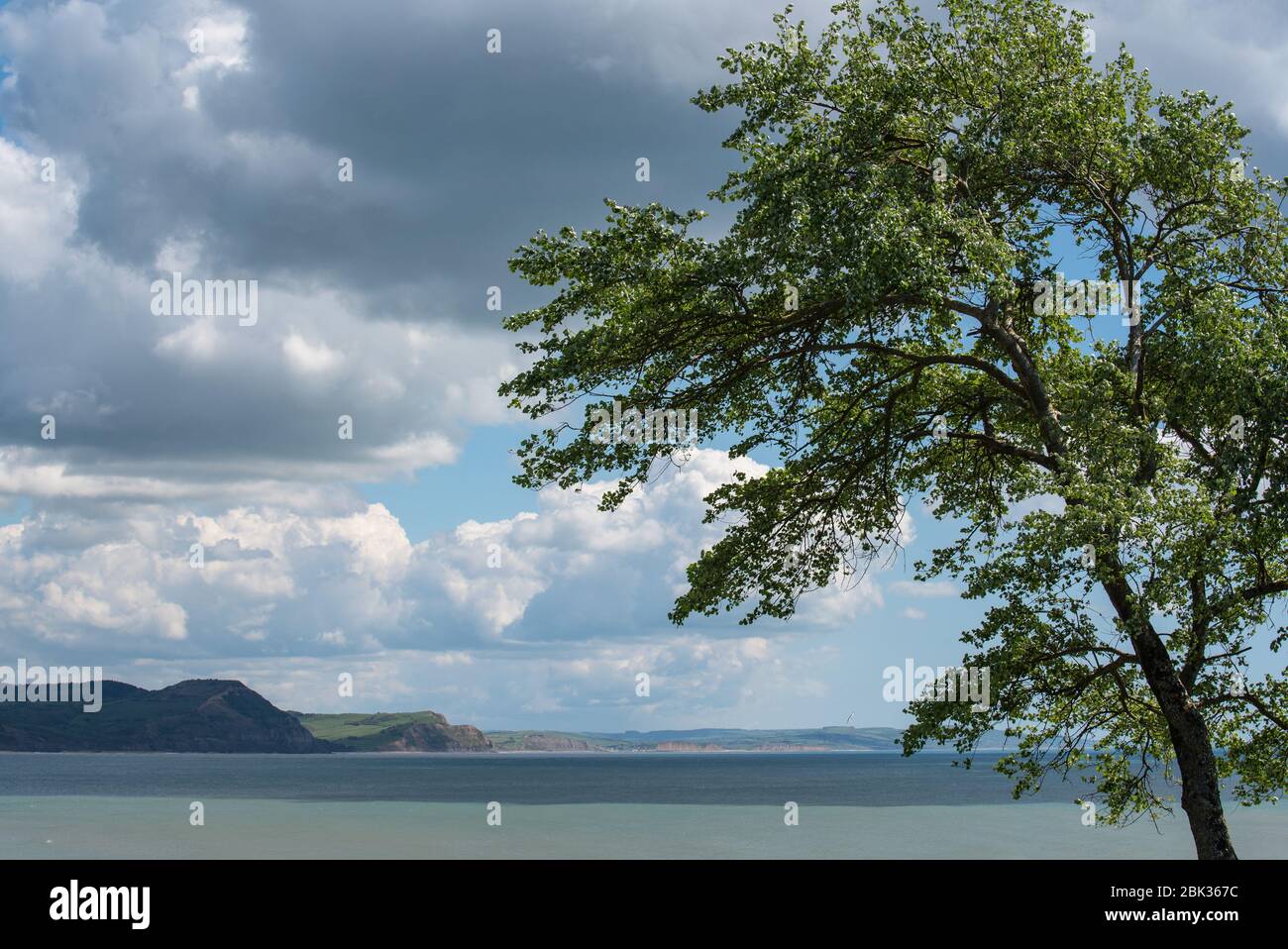 Dorset ovest, Regno Unito. 1° maggio 2020. UK Weather: Alta pressione arriva sopra Golden Cap e la Jurassic Coast vicino Lyme Regis che segna un ritorno gradito del tempo soleggiato. Credit: Celia McMahon/Alamy Live News Foto Stock