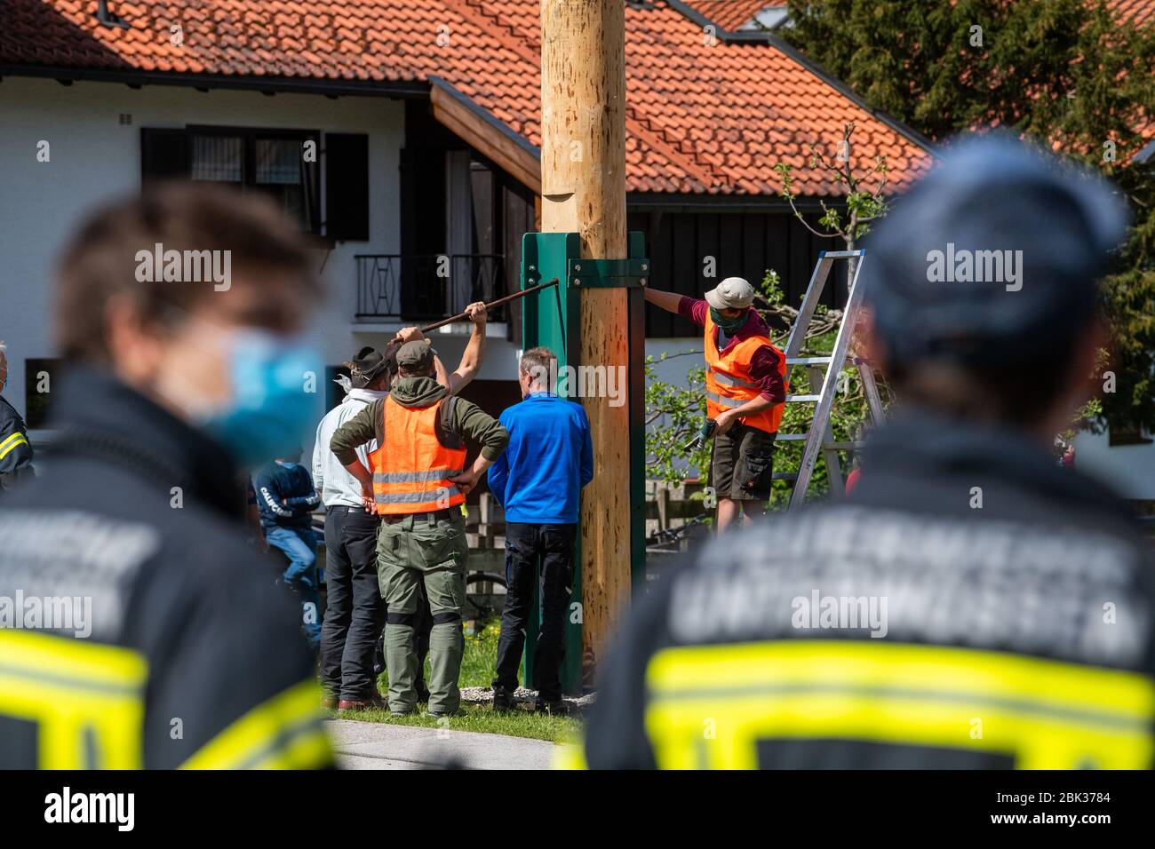 01 maggio 2020, Baviera, Oberwössen: Volontari bloccano il maypole sulla piazza del villaggio di Oberwössen. A causa del Coronavirus, il comune ha messo il maypole con la gru di quest'anno. Foto: Lino Mirgeler/dpa Foto Stock