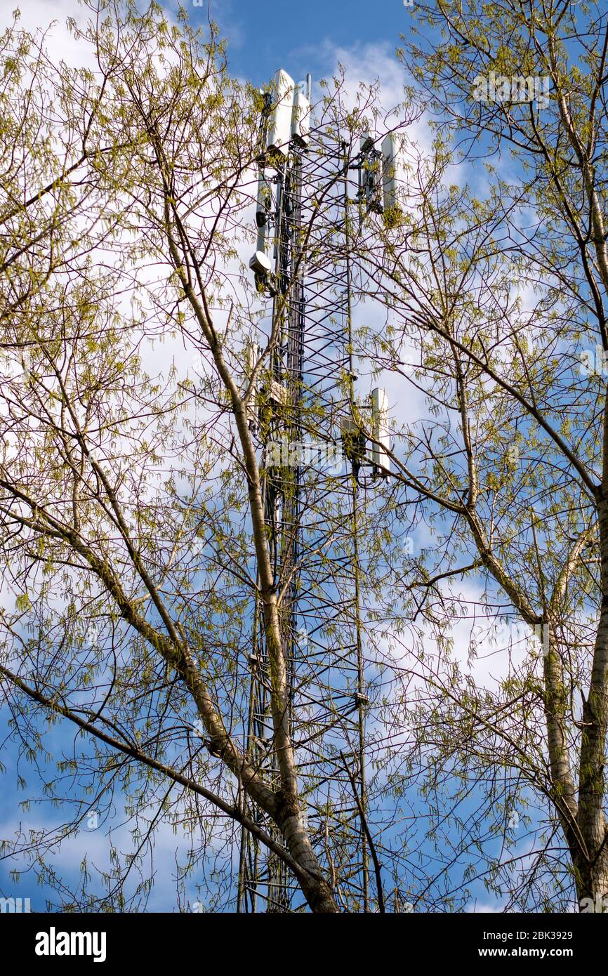 Torre di telecomunicazione della rete mobile della stazione base di antenna della rete cellulare 4G e 5G tra alberi. Trasmettitore antenna di comunicazione wireless ma Foto Stock