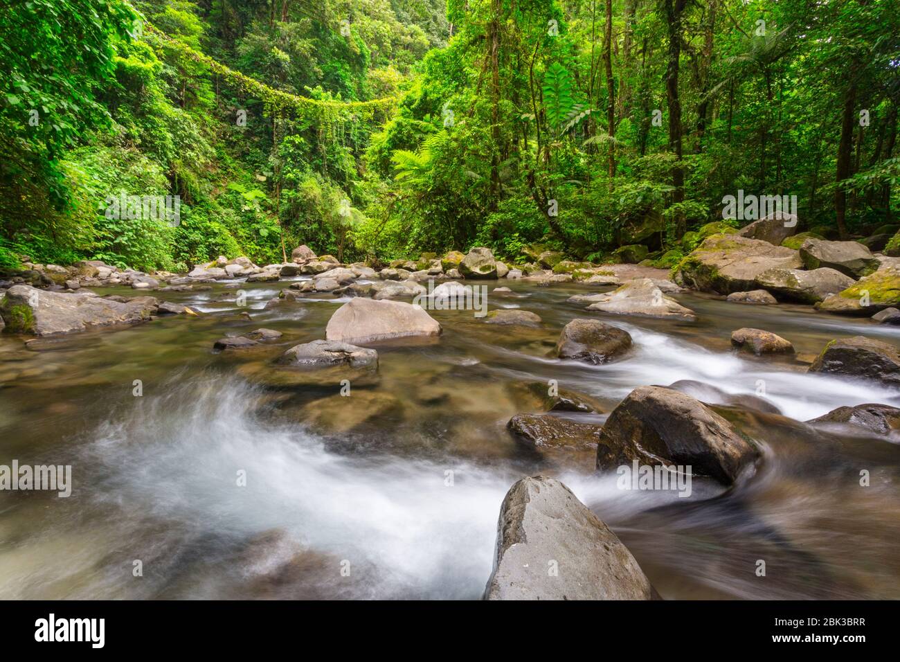 Foresta fiume vicino alla cascata di Fortuna, provincia di Alajuela, Costa Rica Foto Stock