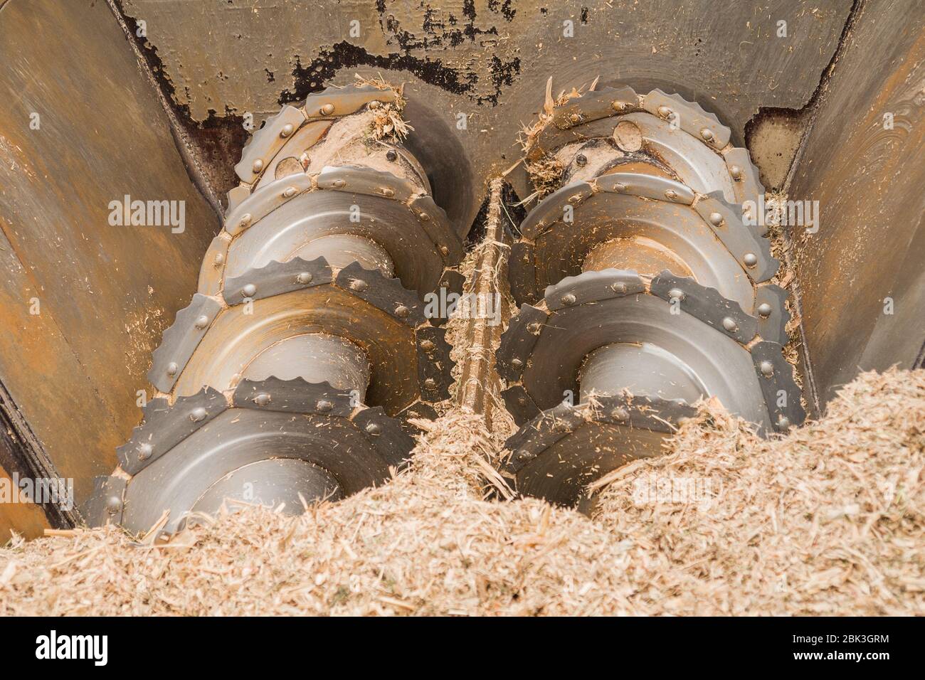 Albero con coltelli per la macinazione del fieno per l'alimentazione animale Foto Stock