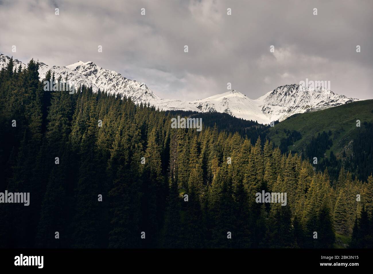 Picco di montagna con la neve e il verde della foresta a nebbioso giorno nuvoloso Foto Stock