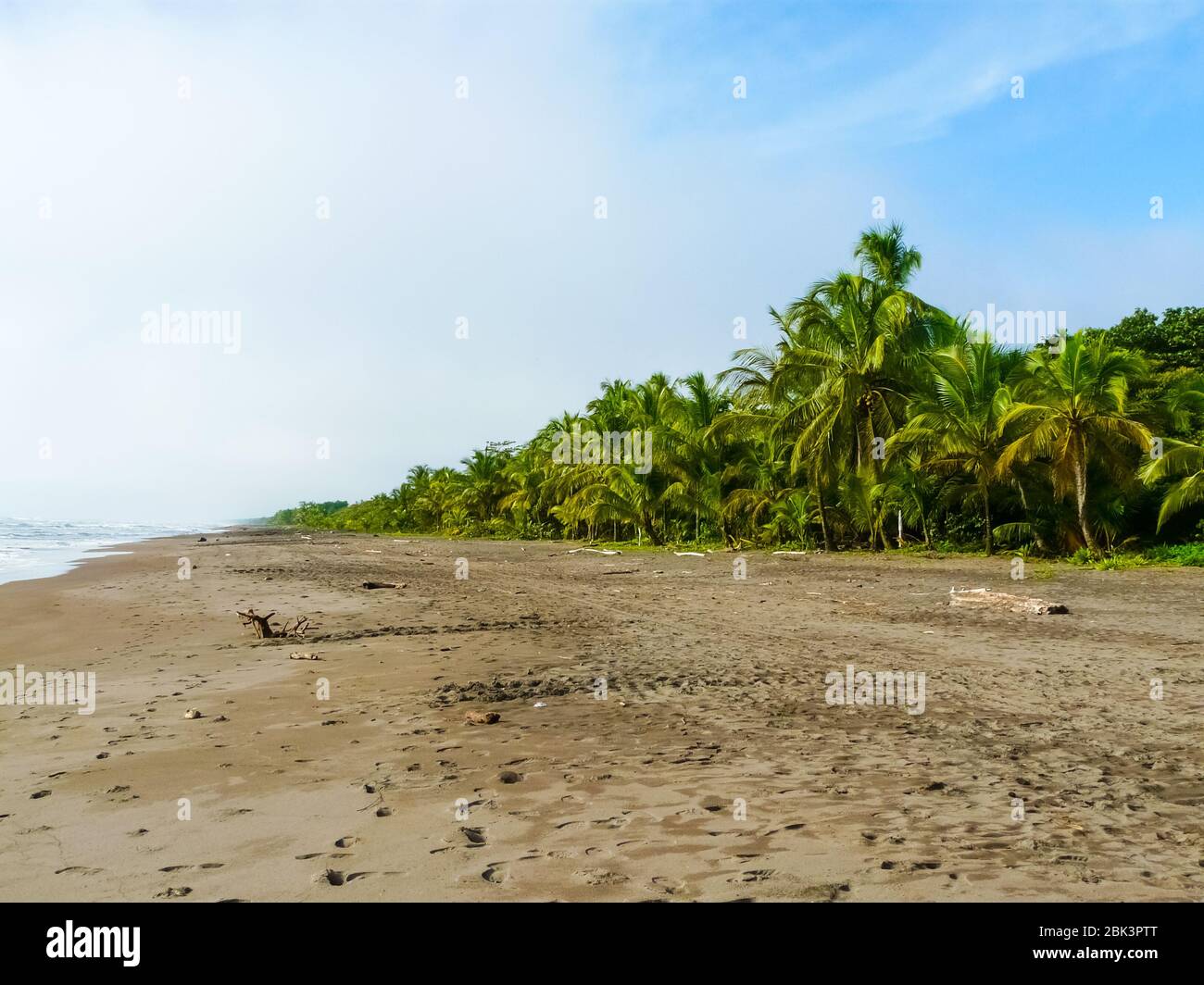 Parco Nazionale di Tortuguero, Limon, Costa Rica Foto Stock