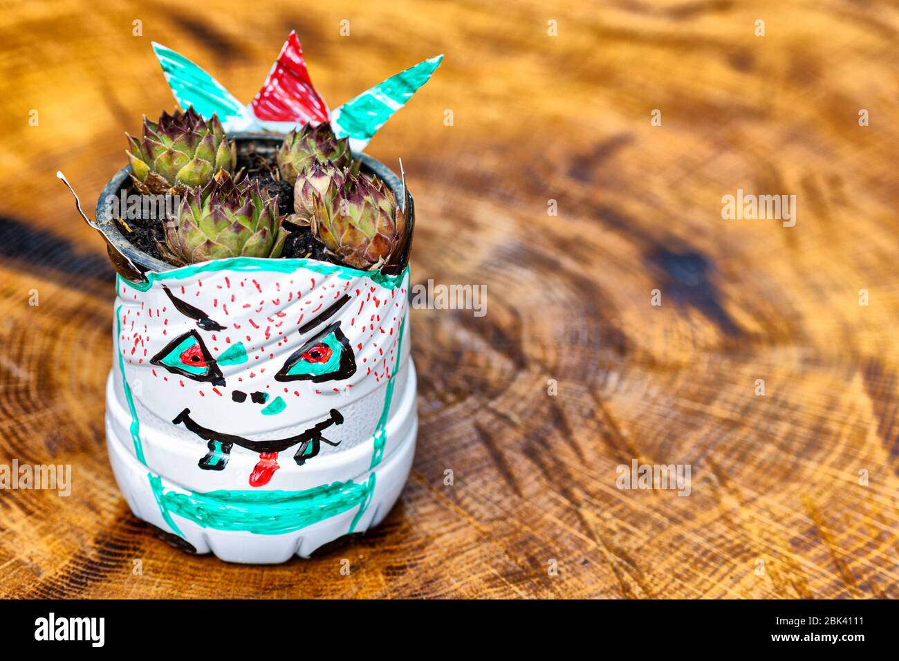 Rifare il PET (bottiglia di plastica) nella piantatrice. Divertimento per bambini e attività educativa durante il blocco Covid19 Foto Stock