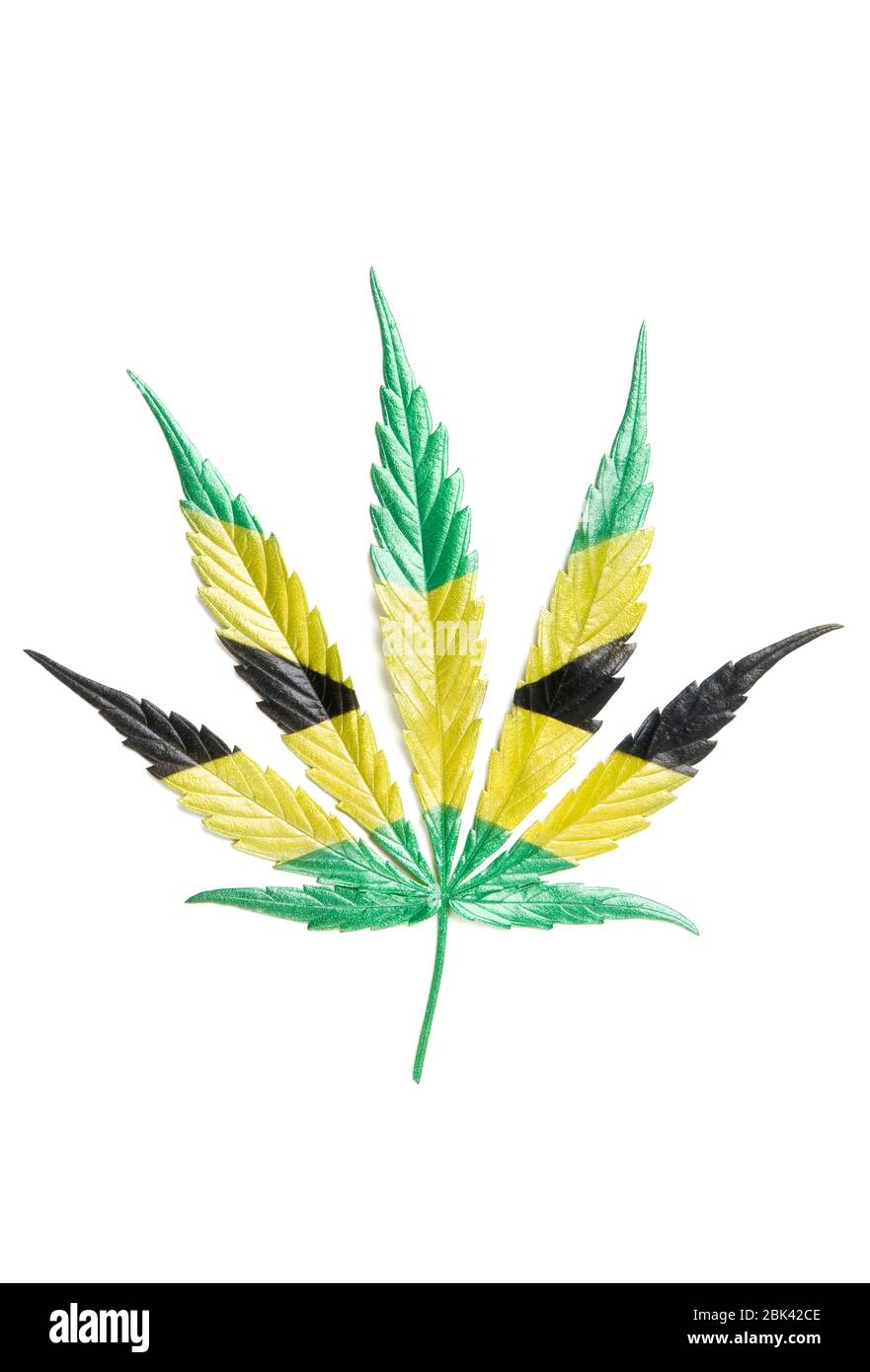 Giamaicano Flag-like Leaf colorato a mano di canapa piena-cresciuta - Cannabis - isolato su sfondo bianco con ombra. Coltivazione di marijuana medica. Scatto studio Foto Stock