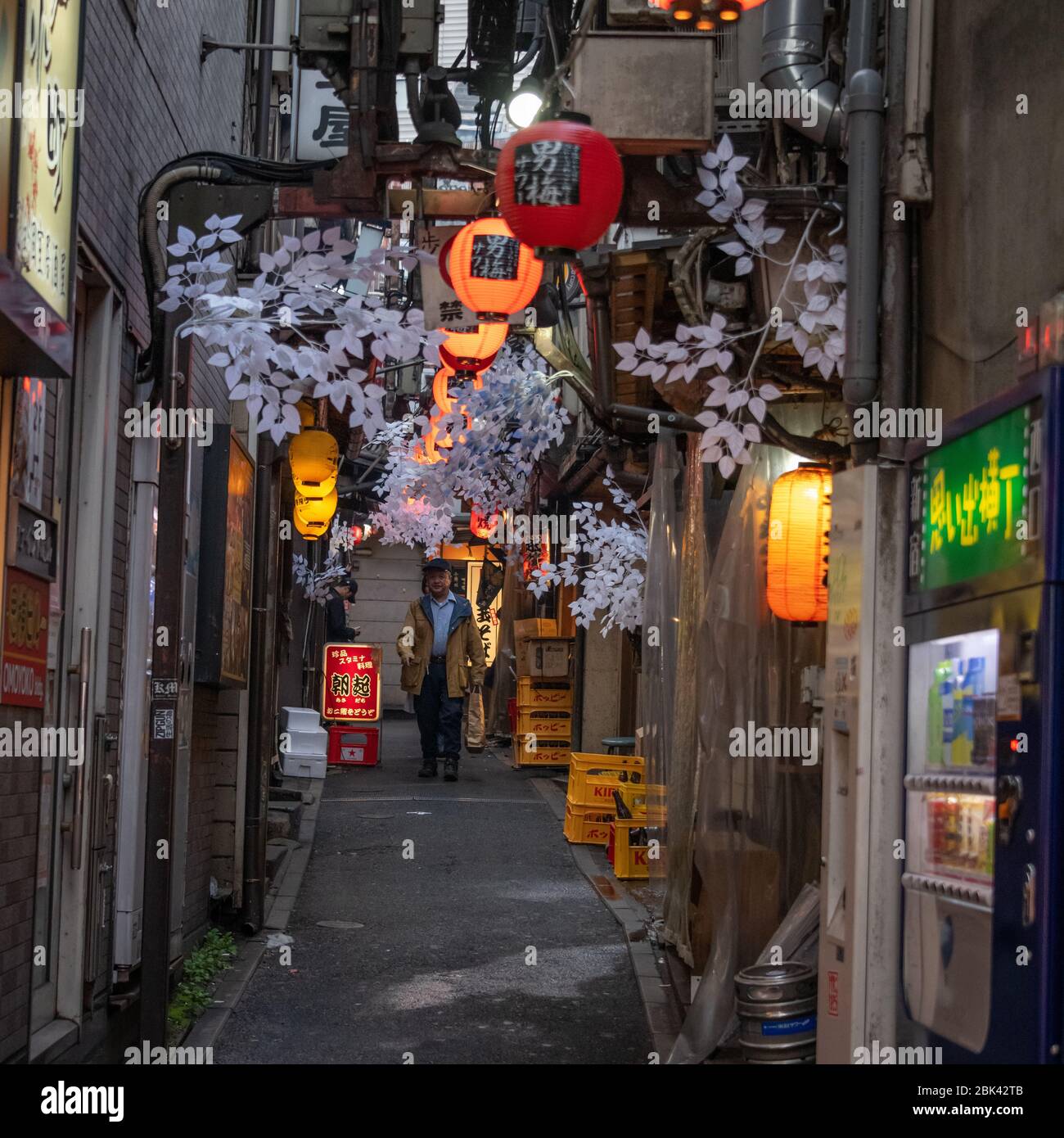 Strade strette e bar, Golden Gai, Tokyo, Giappone Foto Stock