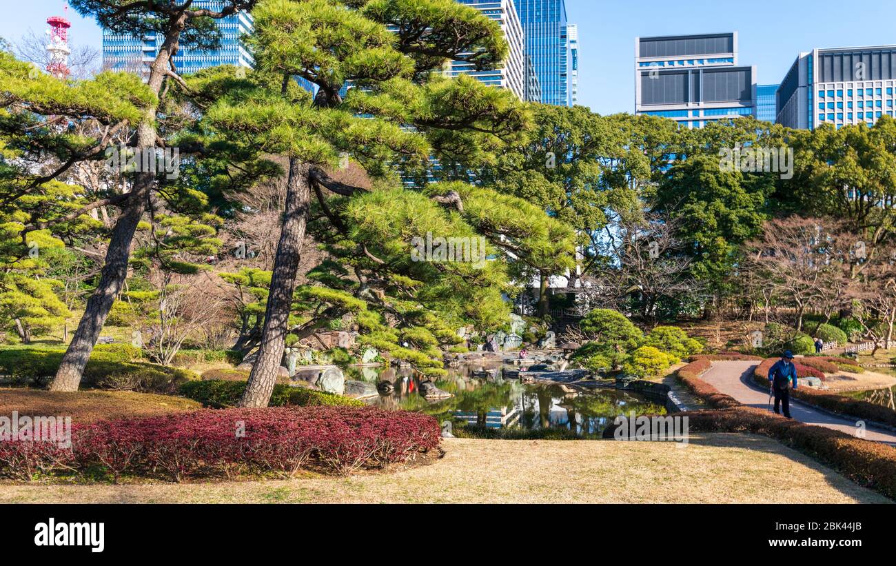 Giardini del Palazzo Imperiale a febbraio, Tokyo, Giappone Foto Stock