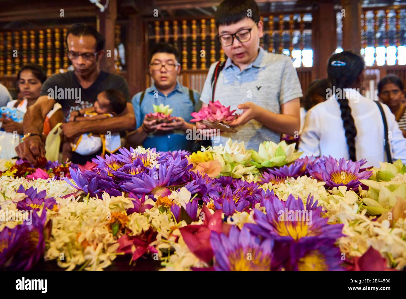 Turisti locali e internazionali che posano fiori di loto tributo agli dei al santuario principale nel Tempio reliquico del dente Sacro a Kandy, Sri Lanka. Foto Stock