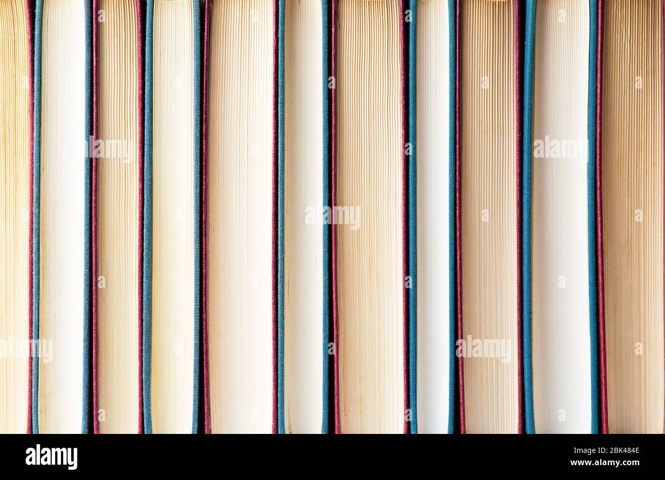 Fila di libri formando un banner di sfondo Foto Stock