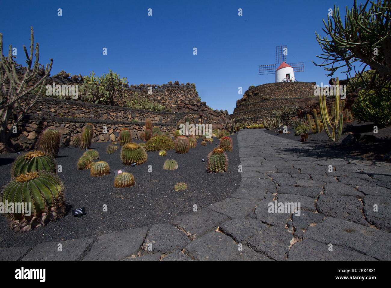 Cactus Garden di Cesar Manrique, Guatiza, Lanzarote, Isole Canarie, Spagna. Foto Stock