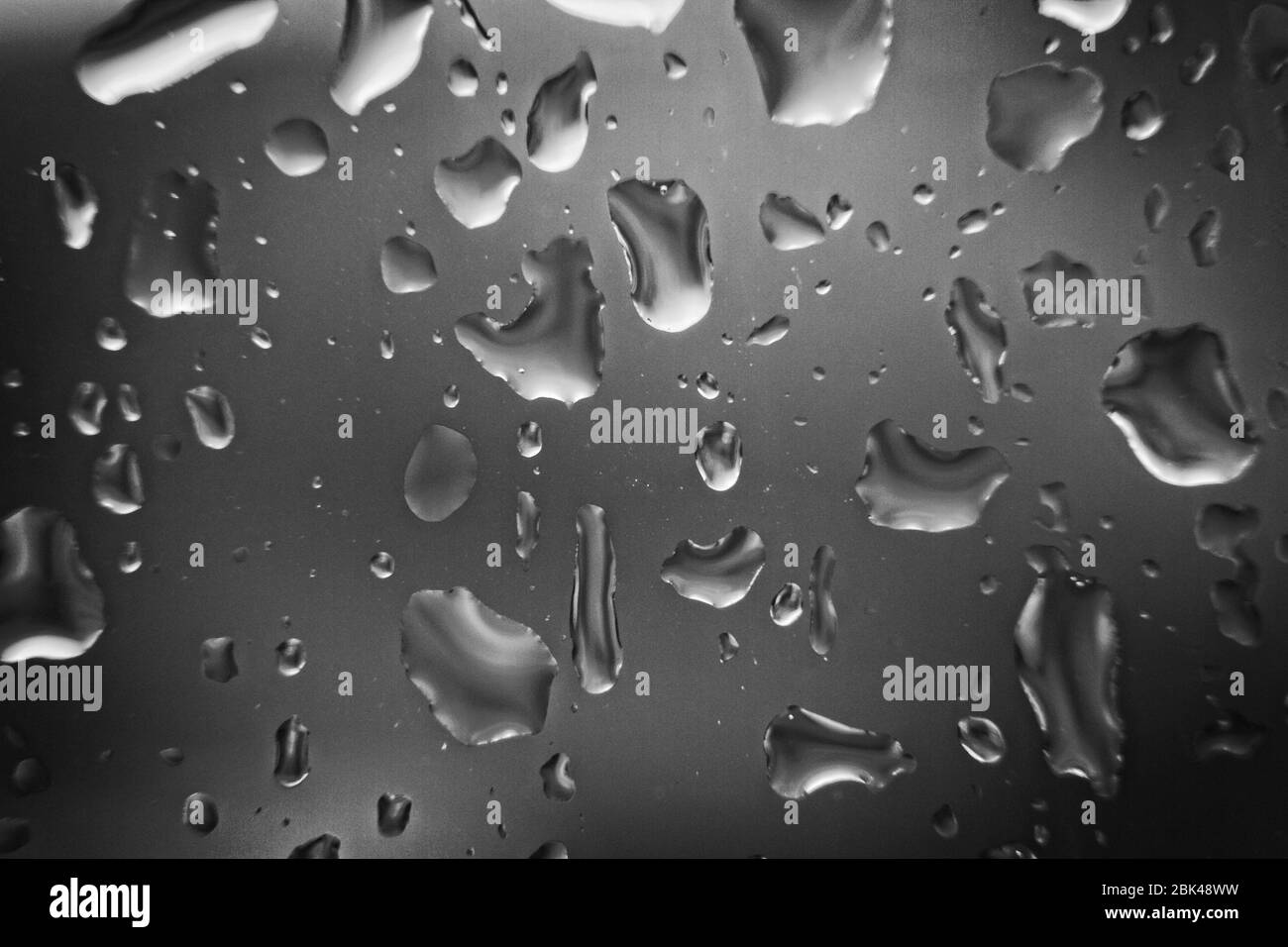 Immagine macro monocromatica di raindrop in primo piano su un riquadro di vetro trasparente. Foto Stock