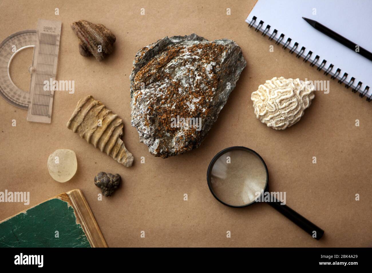 Campioni di pietra presso il laboratorio geologico. Laboratorio di roccia geologica. Laboratorio per l'analisi di materiali geologici del suolo, pietre, minerali, campioni di rocce Foto Stock