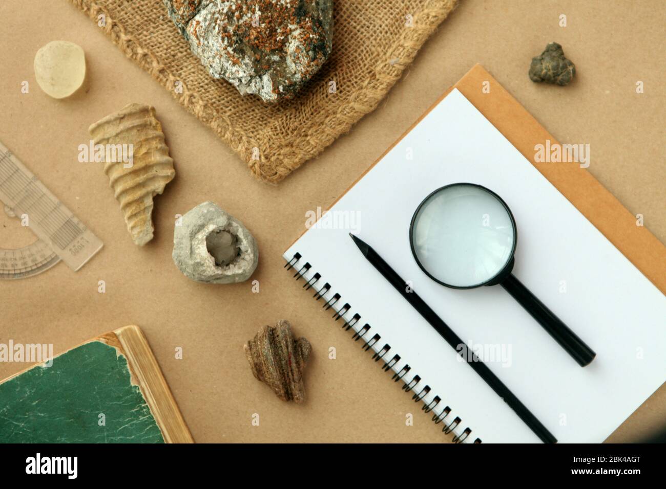 Campioni di pietra presso il laboratorio geologico. Laboratorio di roccia geologica. Laboratorio per l'analisi di materiali geologici del suolo, pietre, minerali, campioni di rocce Foto Stock