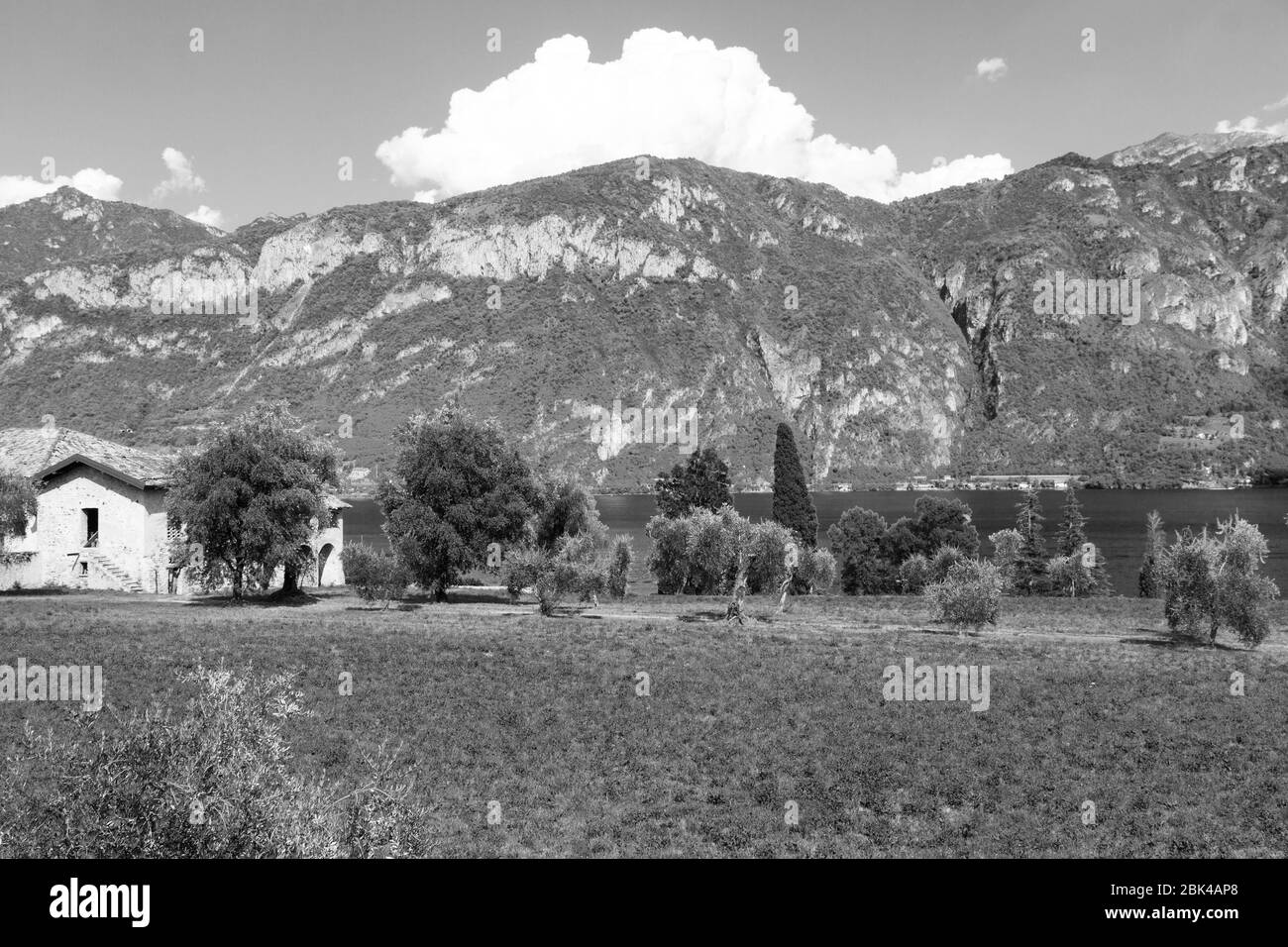 Un gregge di pecore che pascolano di fronte ad una montagna Foto Stock