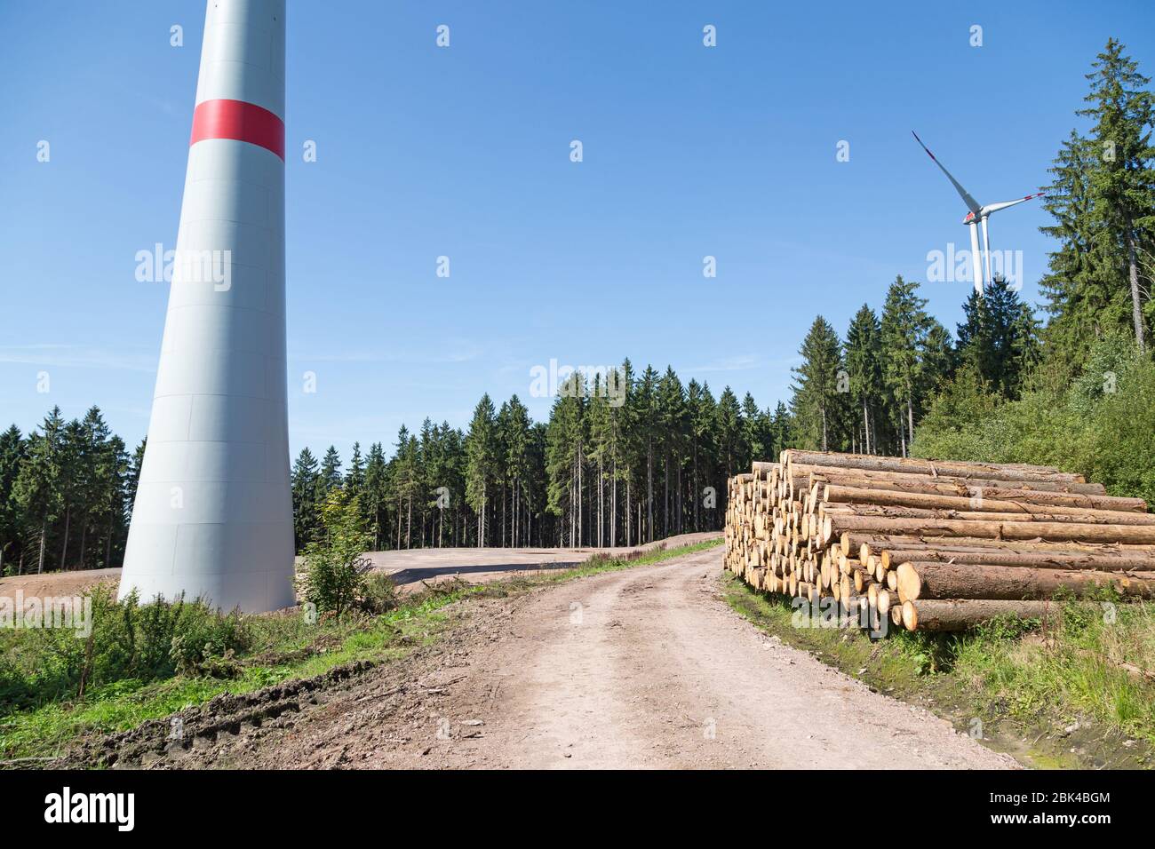 turbine eoliche e woodpile nella foresta Foto Stock
