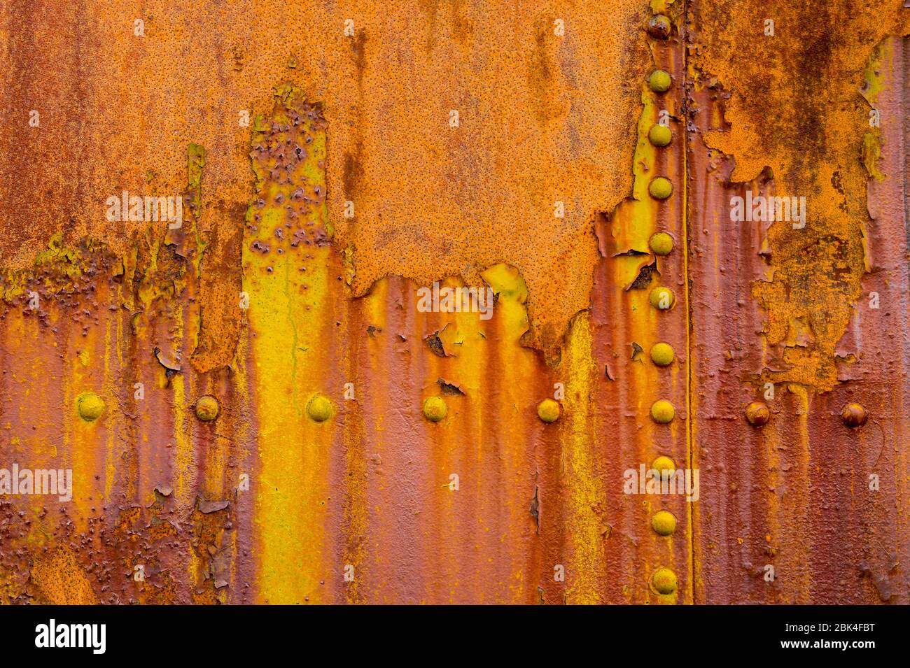 Dettaglio della vasca arrugginita presso i resti della stazione di caccia norvegese a Grytviken sull'isola della Georgia del Sud, Sub-Antartide. Foto Stock