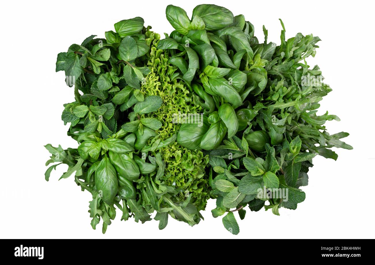 isolato. Erbe verdi fresche e profumate su un bianco. Basilico, coriandolo, insalata di spinaci alla menta piperita, rucola. Spazio per copia, piatto Foto Stock