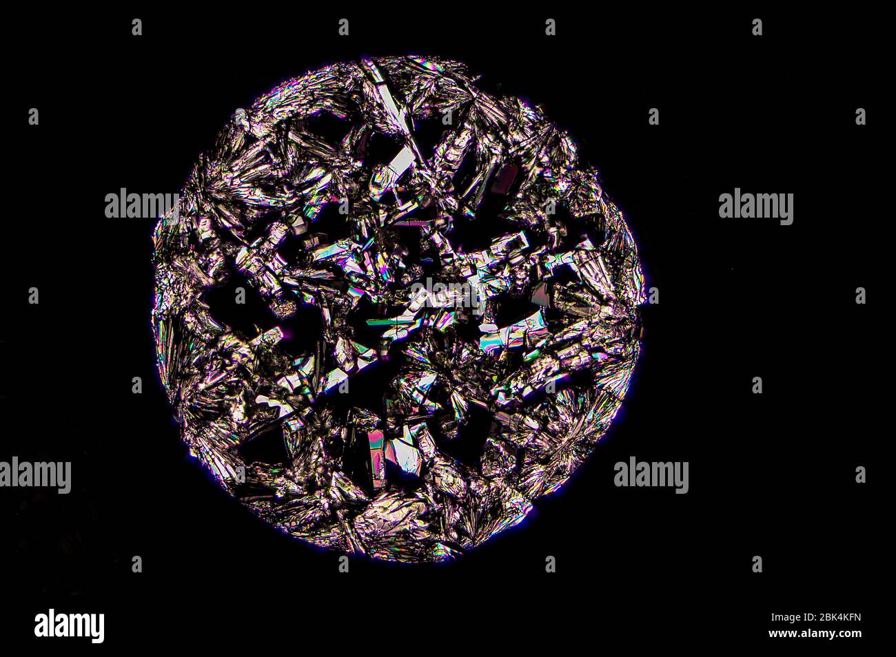 Cristallo di vitamina C osservato sotto microscopia a luce polarizzata Foto Stock