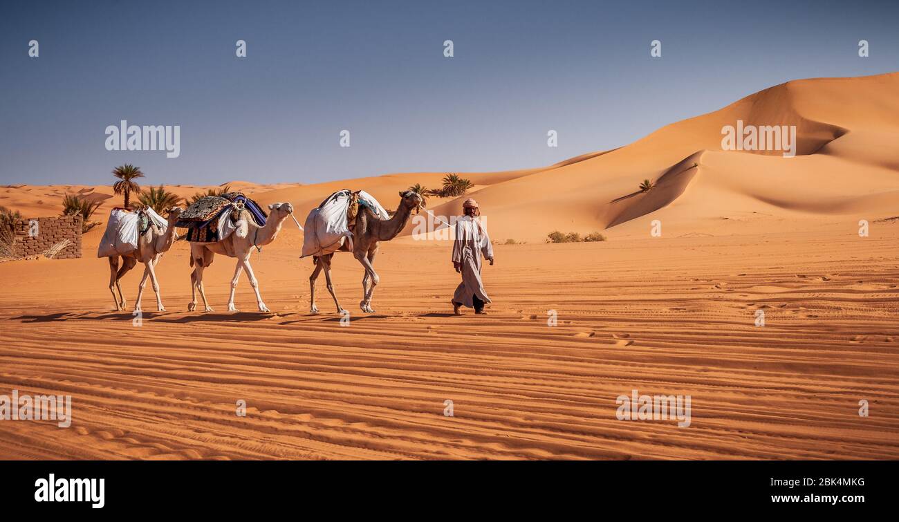 Deserto del Sahara in Libia Foto Stock
