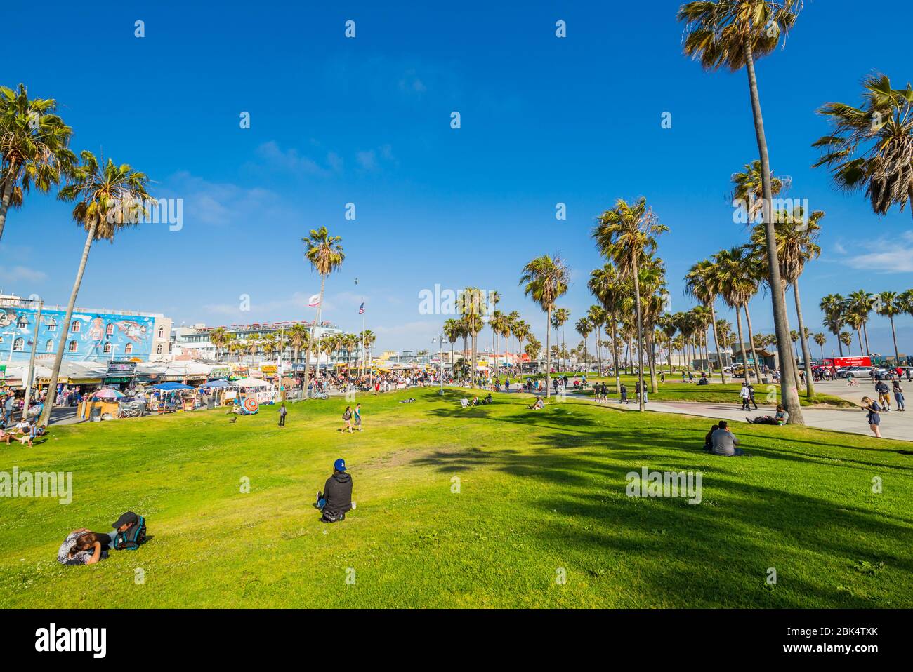 Vista delle palme e i visitatori su Ocean Front Walk in Venice Beach, Los Angeles, California, Stati Uniti d'America, America del Nord Foto Stock