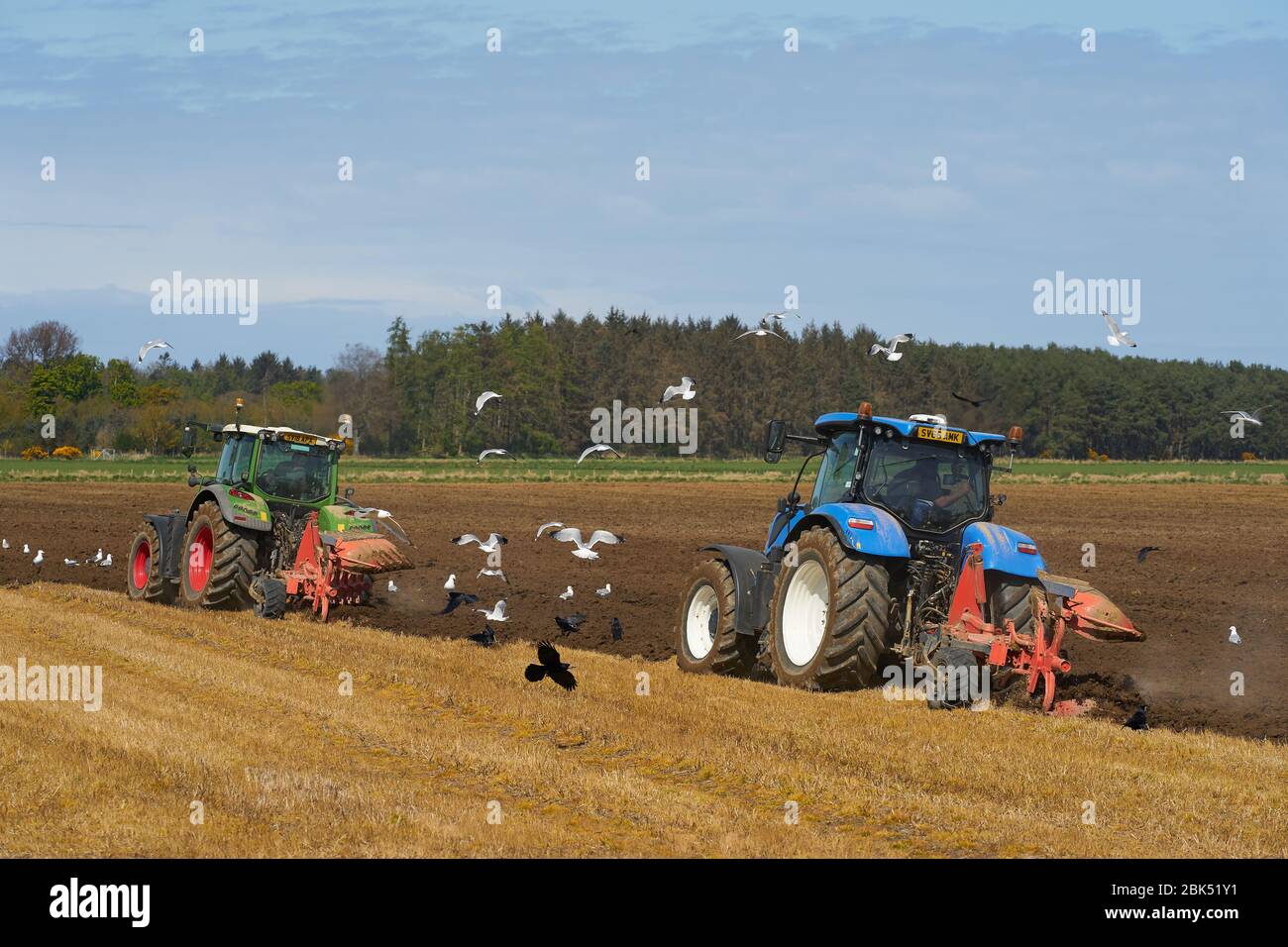 28 aprile 2020. Farm, Elgin, Moray, Scozia, Regno Unito. Si tratta di due trattori che arano un campo in un pomeriggio di primavera soleggiato a Moray, Scozia. Foto Stock