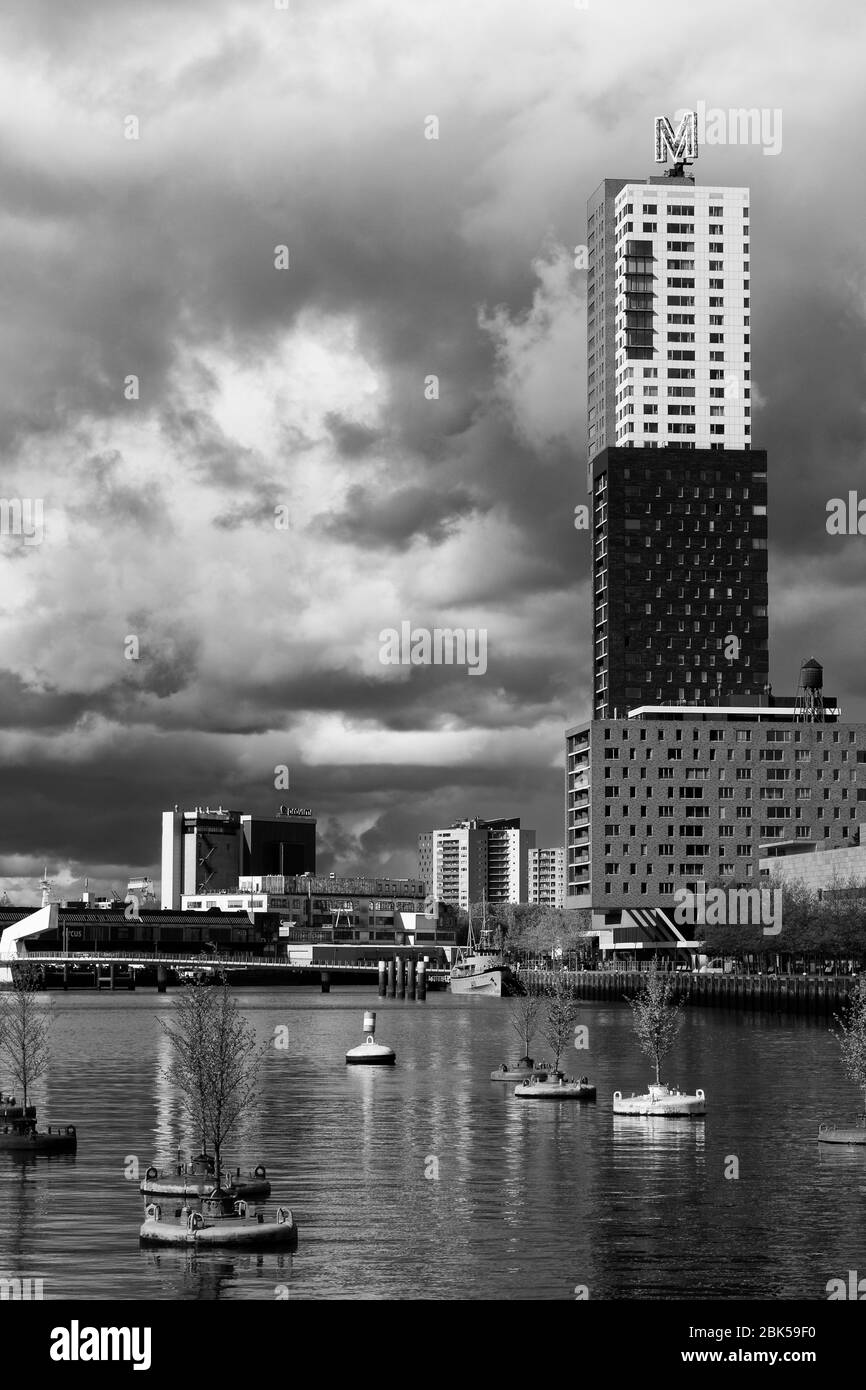 Grattacielo, Distretto di Rijnhaven, Rotterdam, Olanda Meridionale, Paesi Bassi, Europa Foto Stock