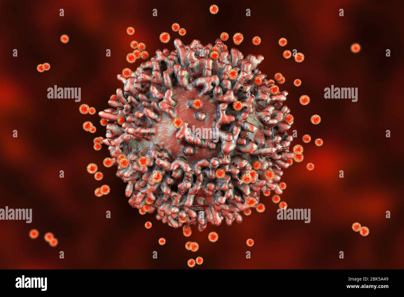 Virus SARS-cov-2 e cellule immunitarie. Immagine concettuale che illustra l'immunità antivirale e la vaccinazione. Foto Stock