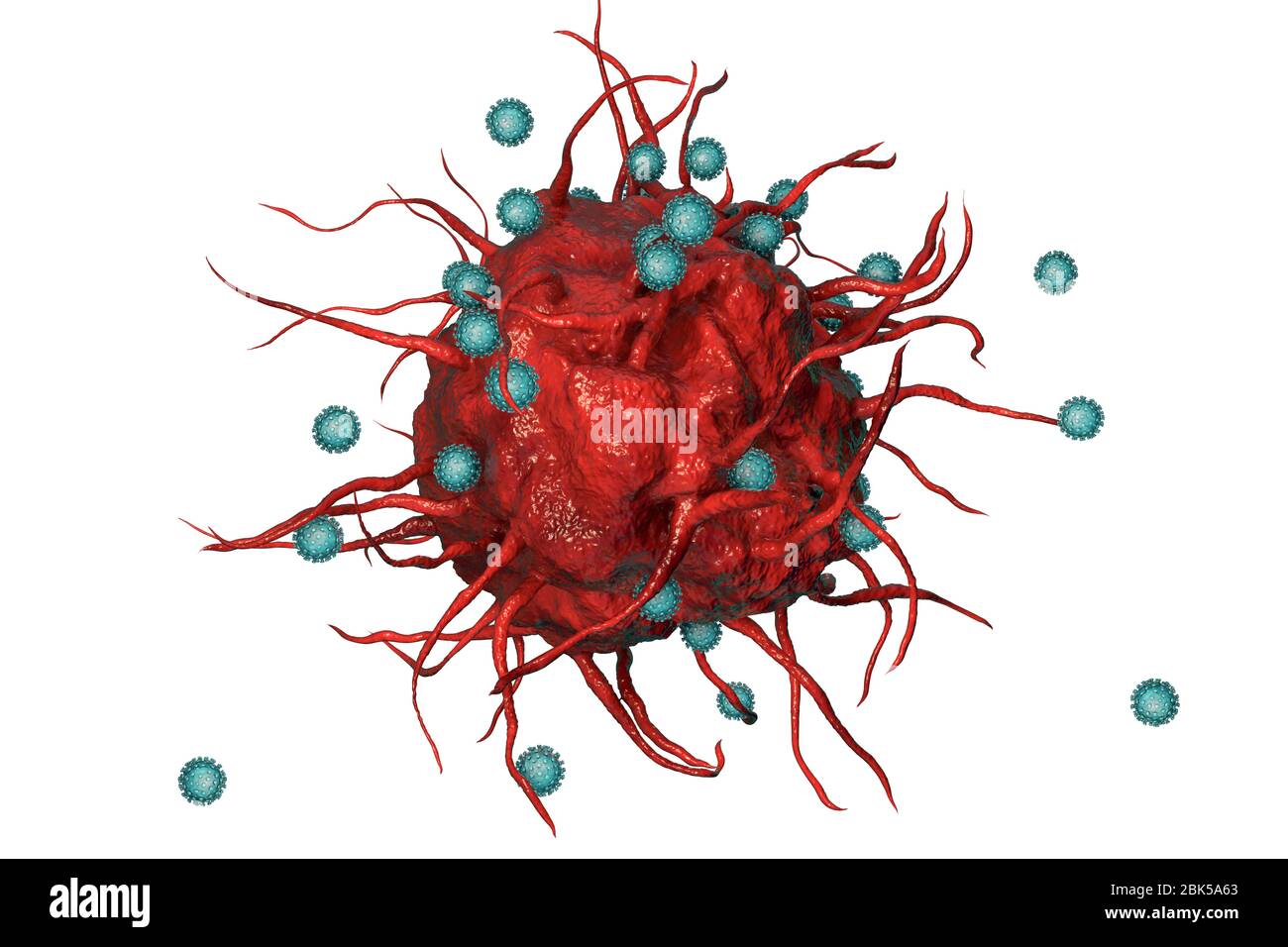 Virus SARS-cov-2 e cellule immunitarie. Immagine concettuale che illustra l'immunità antivirale e la vaccinazione. Foto Stock