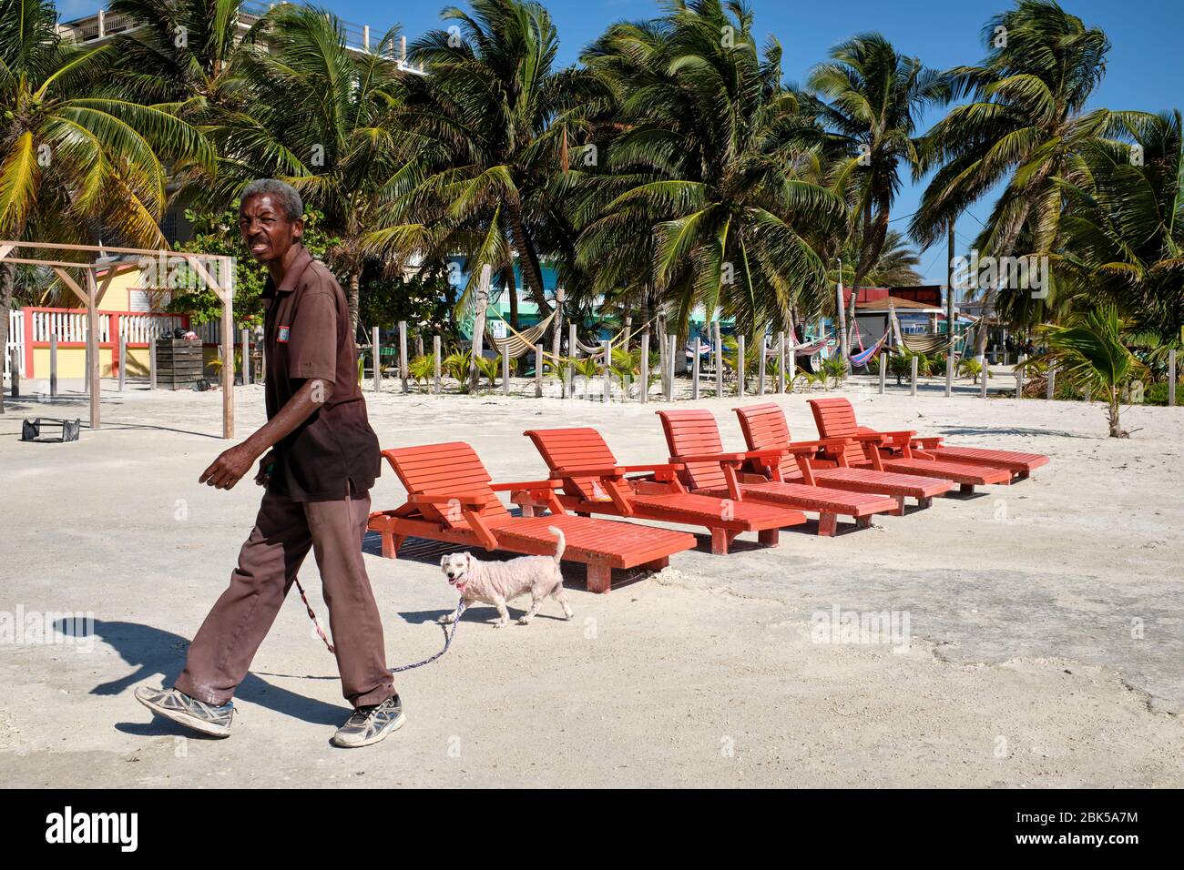 Uomo belizeo che cammina un cane in spiaggia in una giornata di sole. Foto Stock