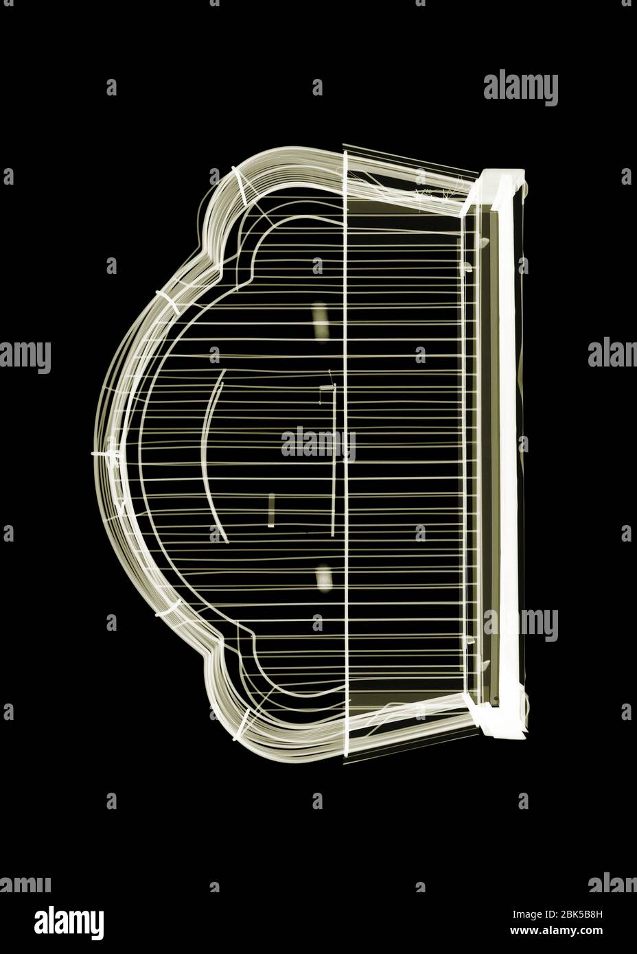 Gabbia di uccelli, raggi X. Foto Stock
