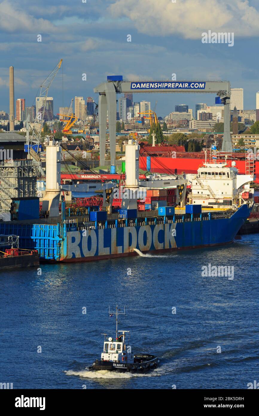 Cantiere navale di Damen, porto di Rotterdam, Olanda meridionale, Paesi Bassi, Europa Foto Stock