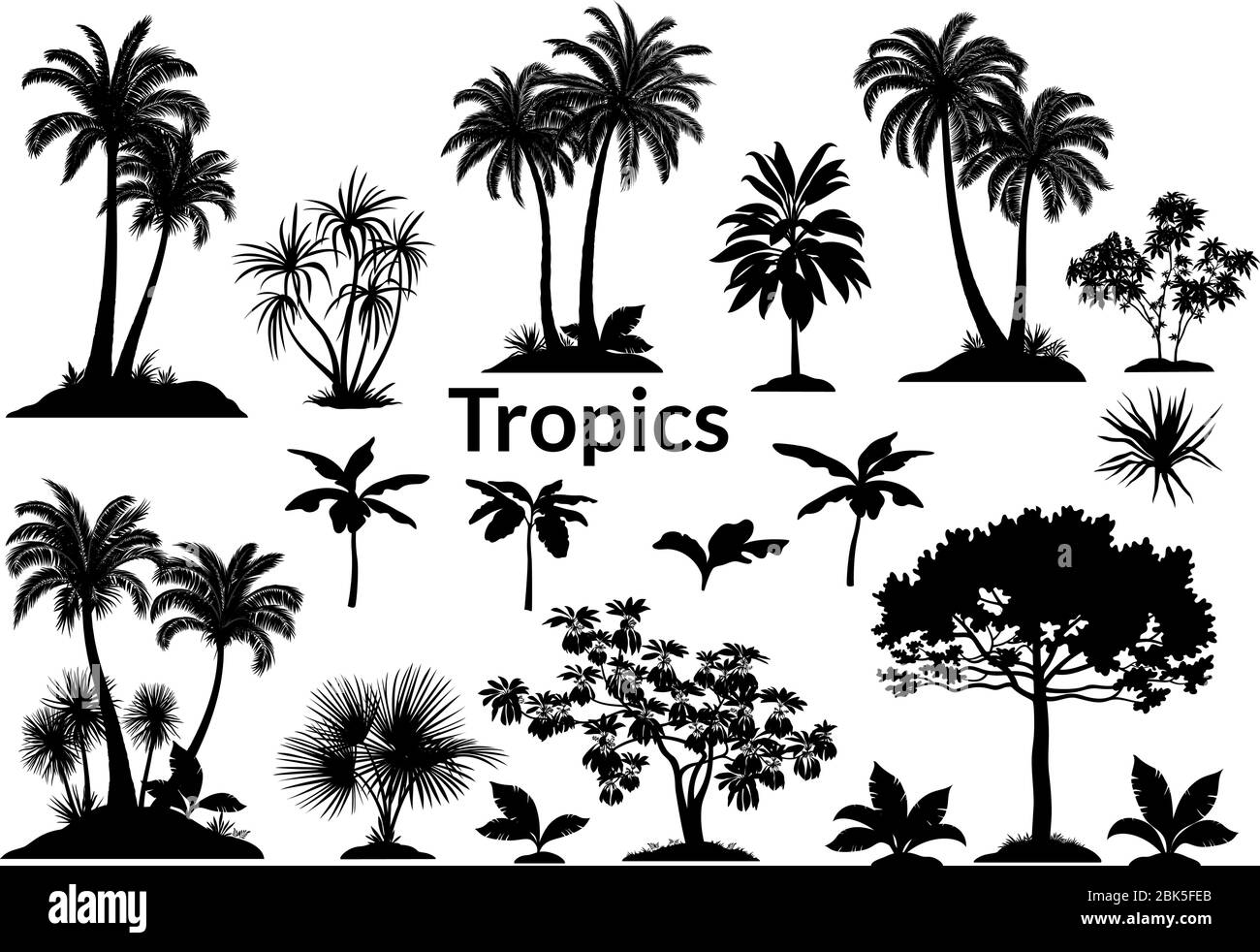 Set palme, paesaggi esotici, piante tropicali e silhouette nero erba isolato su sfondo bianco. Vettore Illustrazione Vettoriale