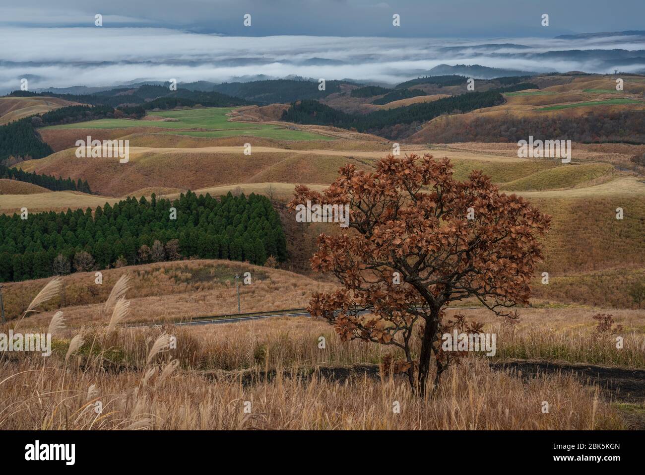 Vista dalla strada nel Parco del Monte Aso a Kyushu, Giappone. Foto Stock