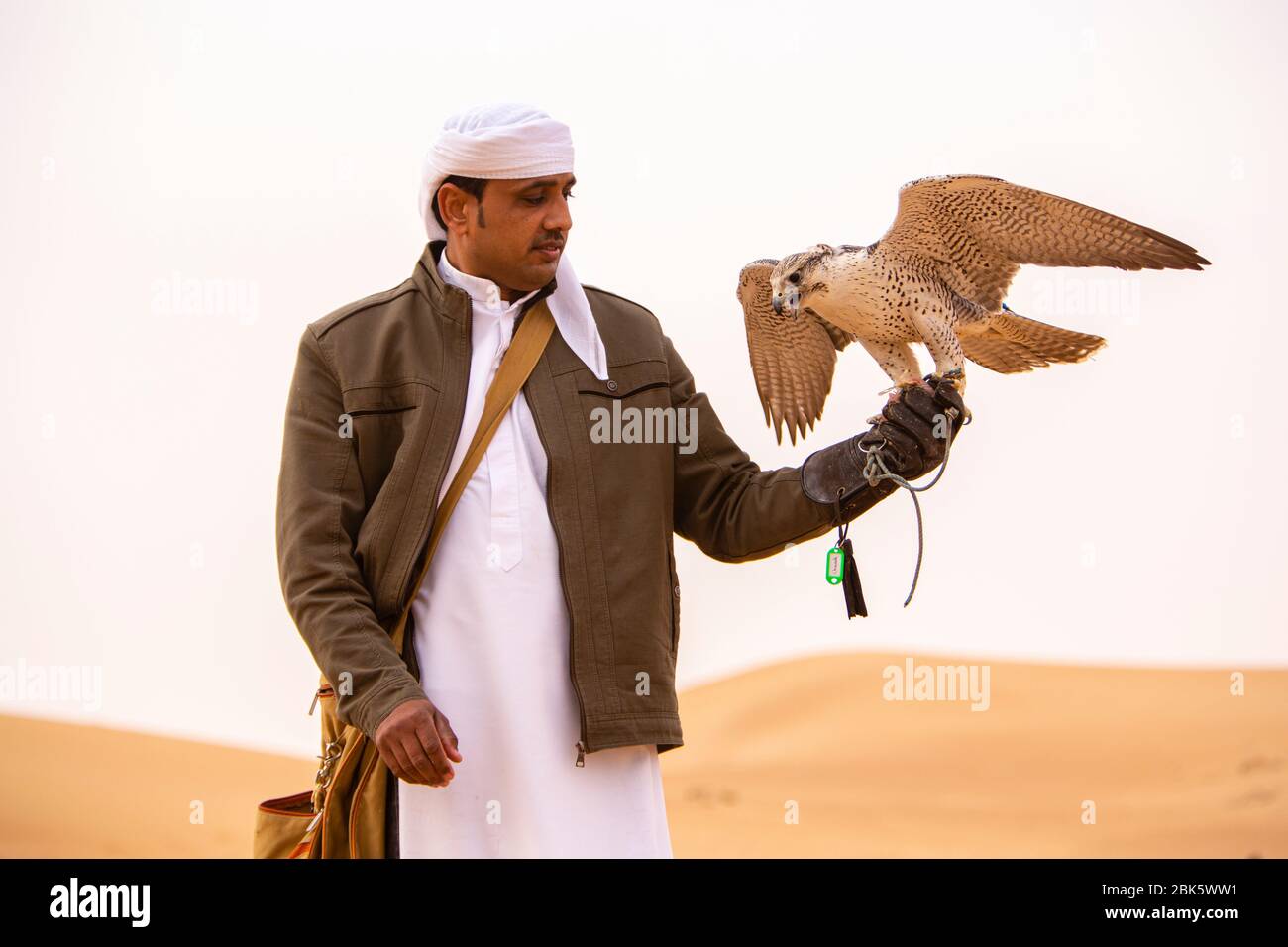 Falconeria nella Dubai Desert Conservation Reserve, Dubai, Emirati Arabi Uniti Foto Stock