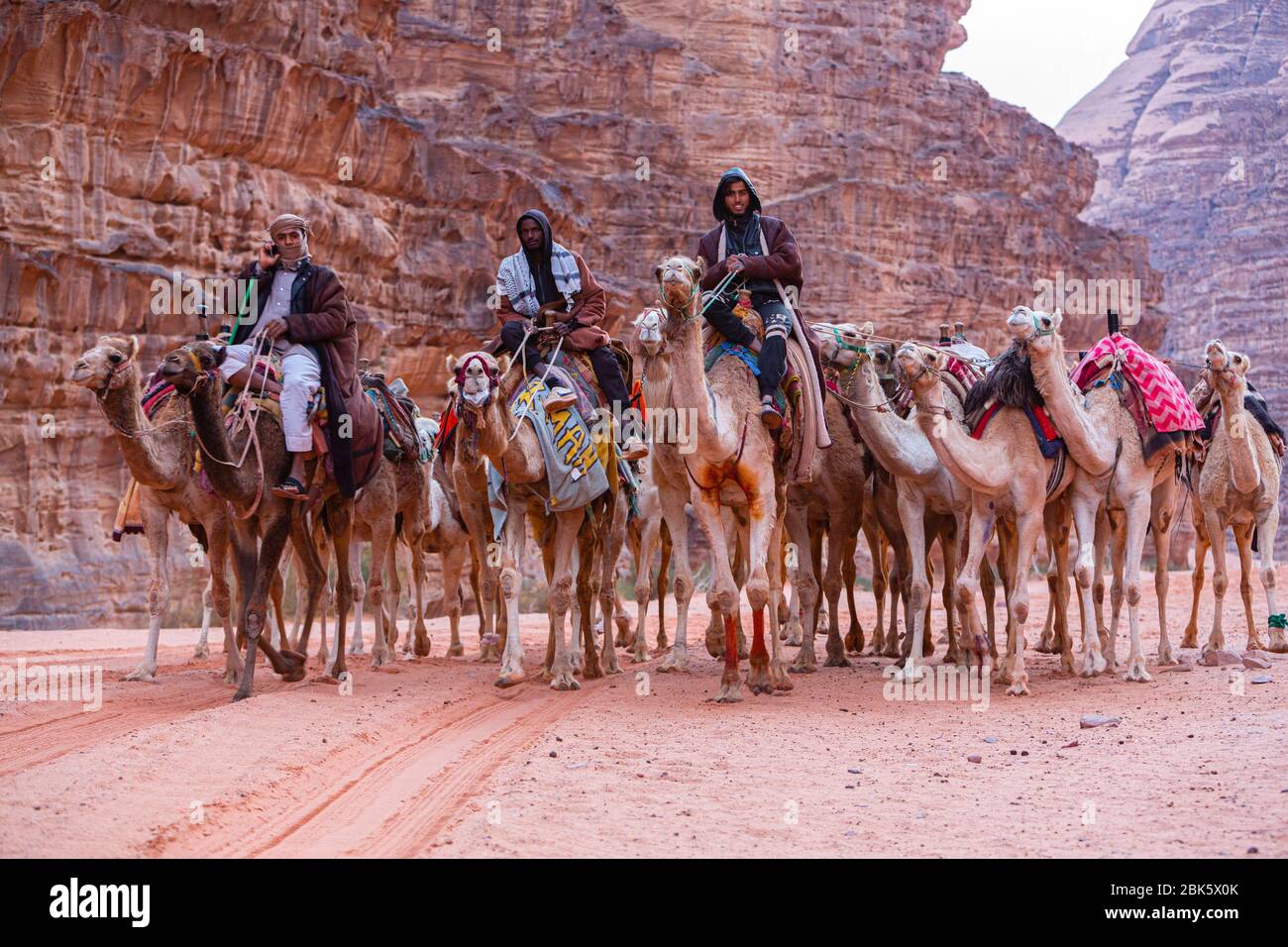 Beduini in treno a cammello nel deserto di Wadi Rum, Giordania Foto Stock
