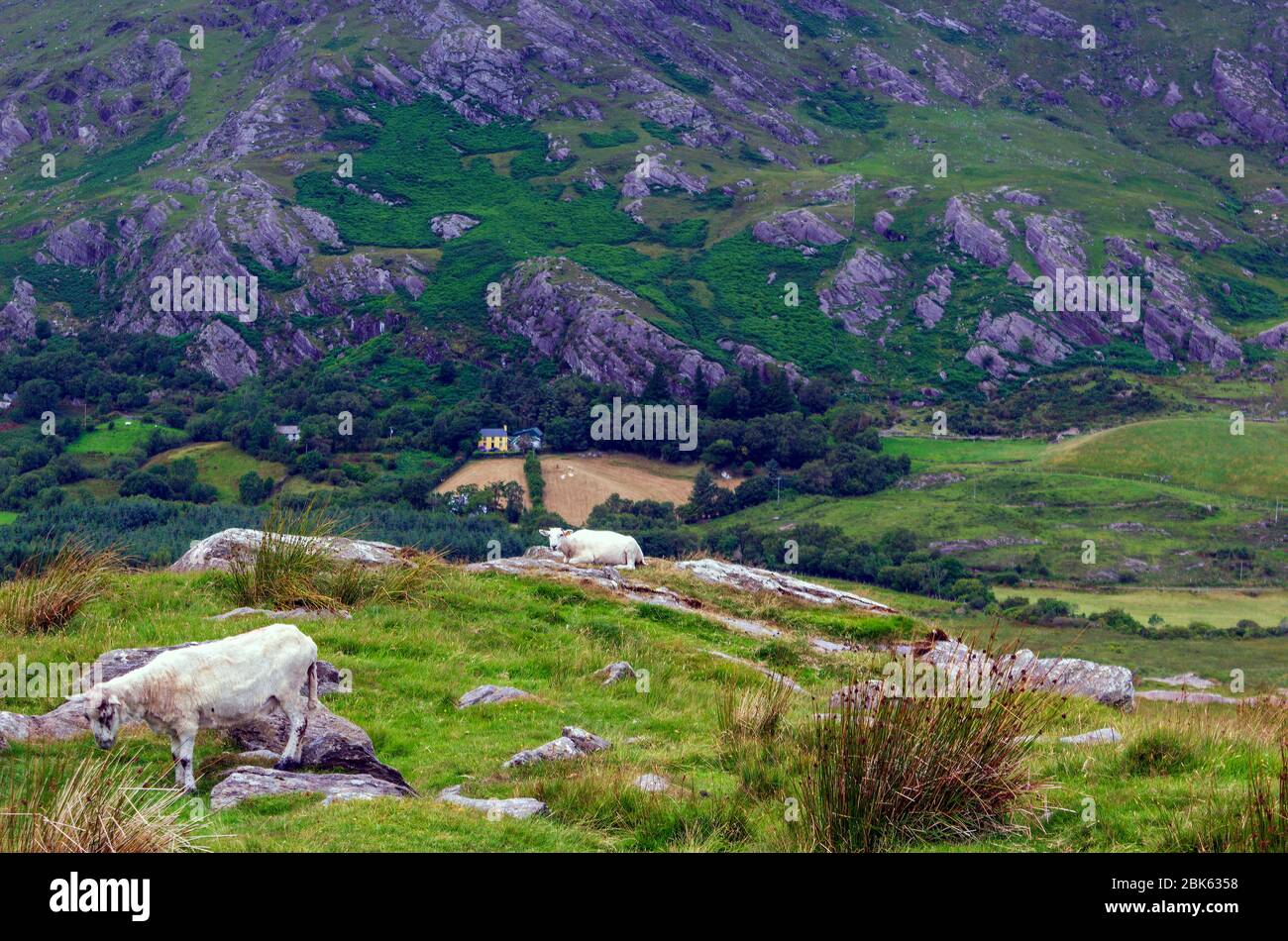 Immagine della remota valle profonda nelle montagne Caha nella contea di Cork, Irlanda. Foto Stock