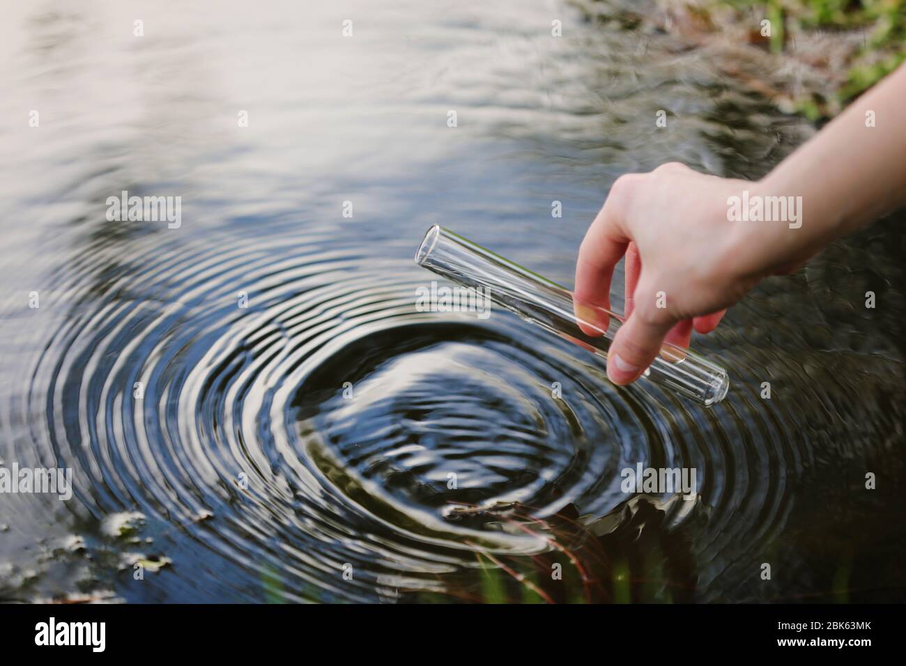 Campione di acqua. La mano raccoglie l'acqua da esplorare. Concetto - analisi della purezza dell'acqua, ambiente, ecologia. Analisi dell'acqua per le infezioni, permesso di nuotare Foto Stock