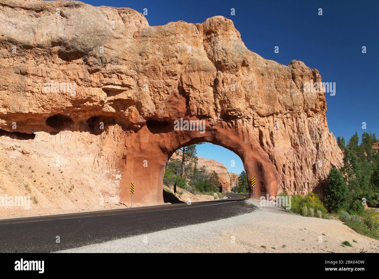 Tunnel del Red Canyon alla Dixie National Forest, Utah, USA. Foto Stock
