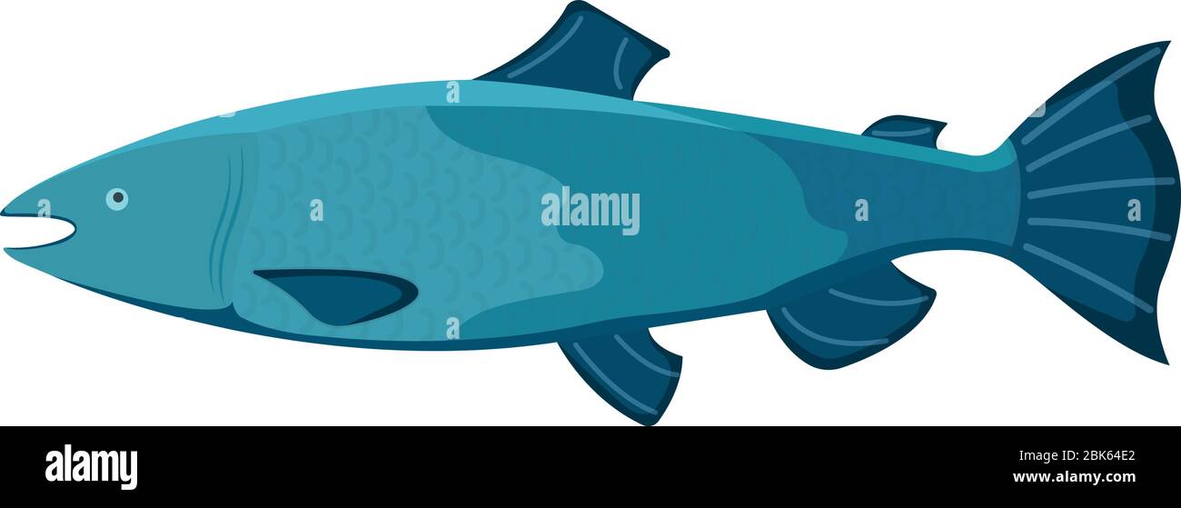 Pesce fresco, stile cartoon isolato su bianco, piatto vettore illustrazione salmone. Concetto di pesce minnow. Prodotto marino per sushi, omega 3 alimentare. Salute Illustrazione Vettoriale