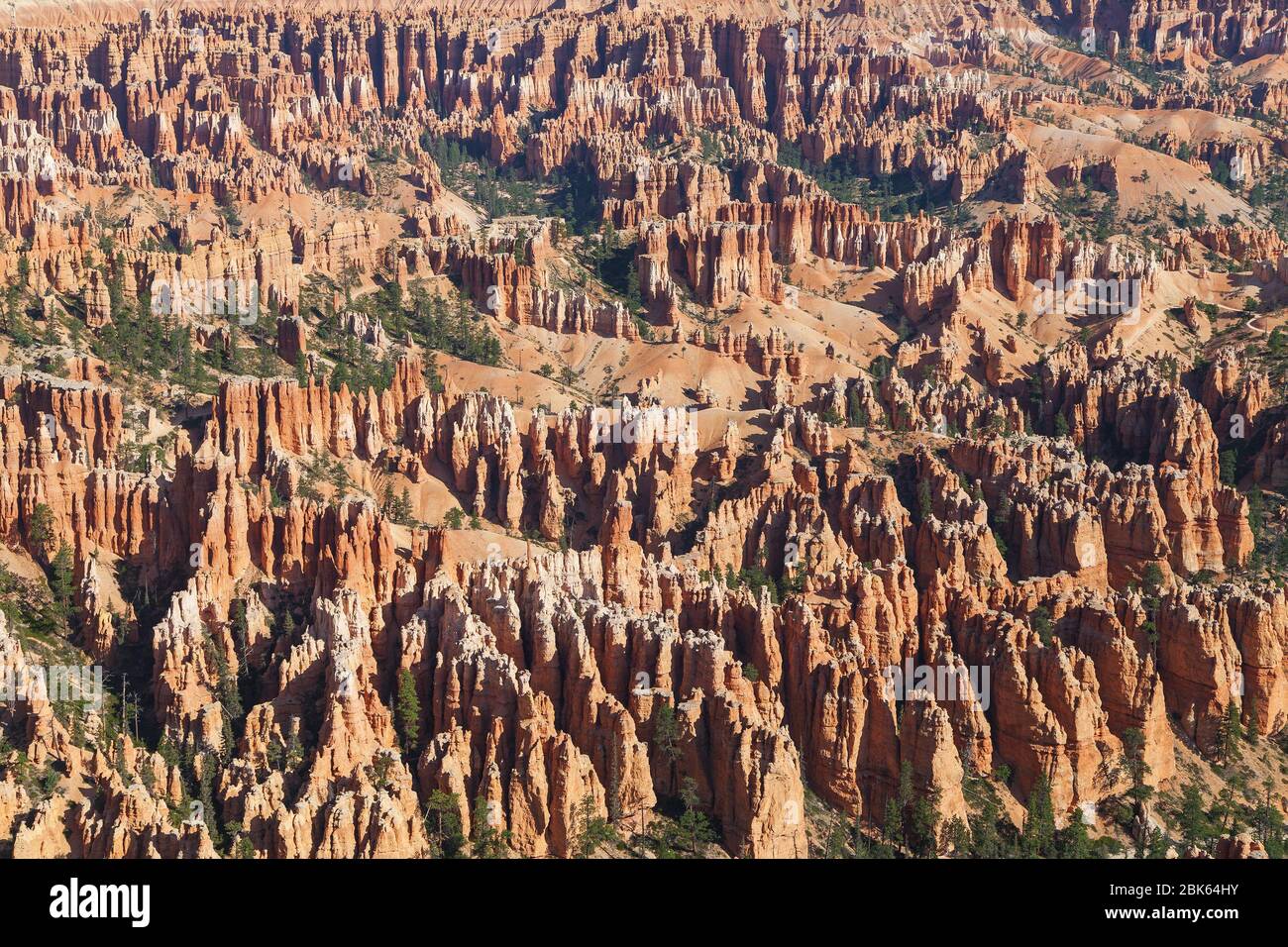 Centinaia di Hoodoos da Bryce Point, Bryce Canyon National Park, Utah, Stati Uniti. Foto Stock