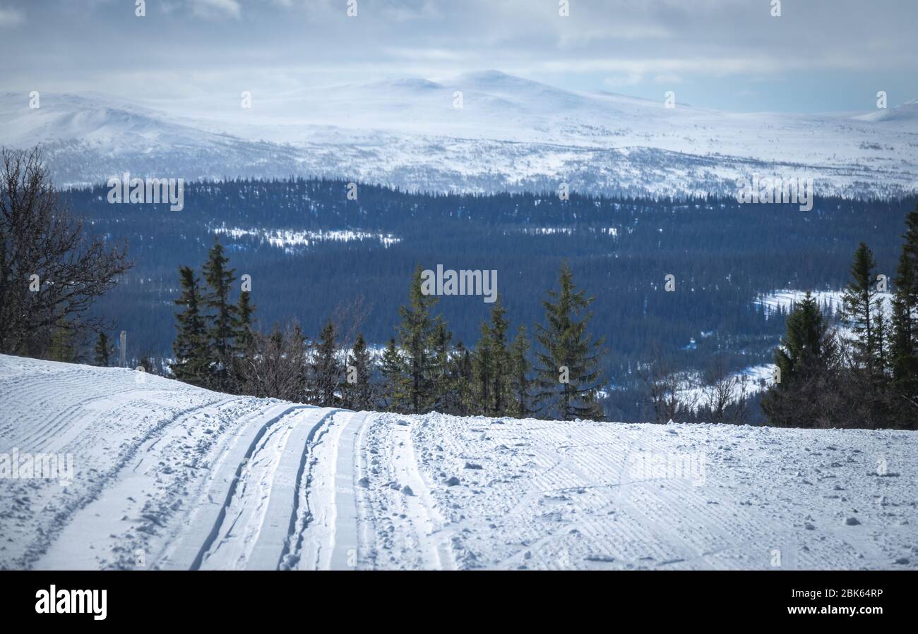 Sci di fondo. Pista da sci da turismo vuota. Montagne innevate sullo sfondo. Foto Stock