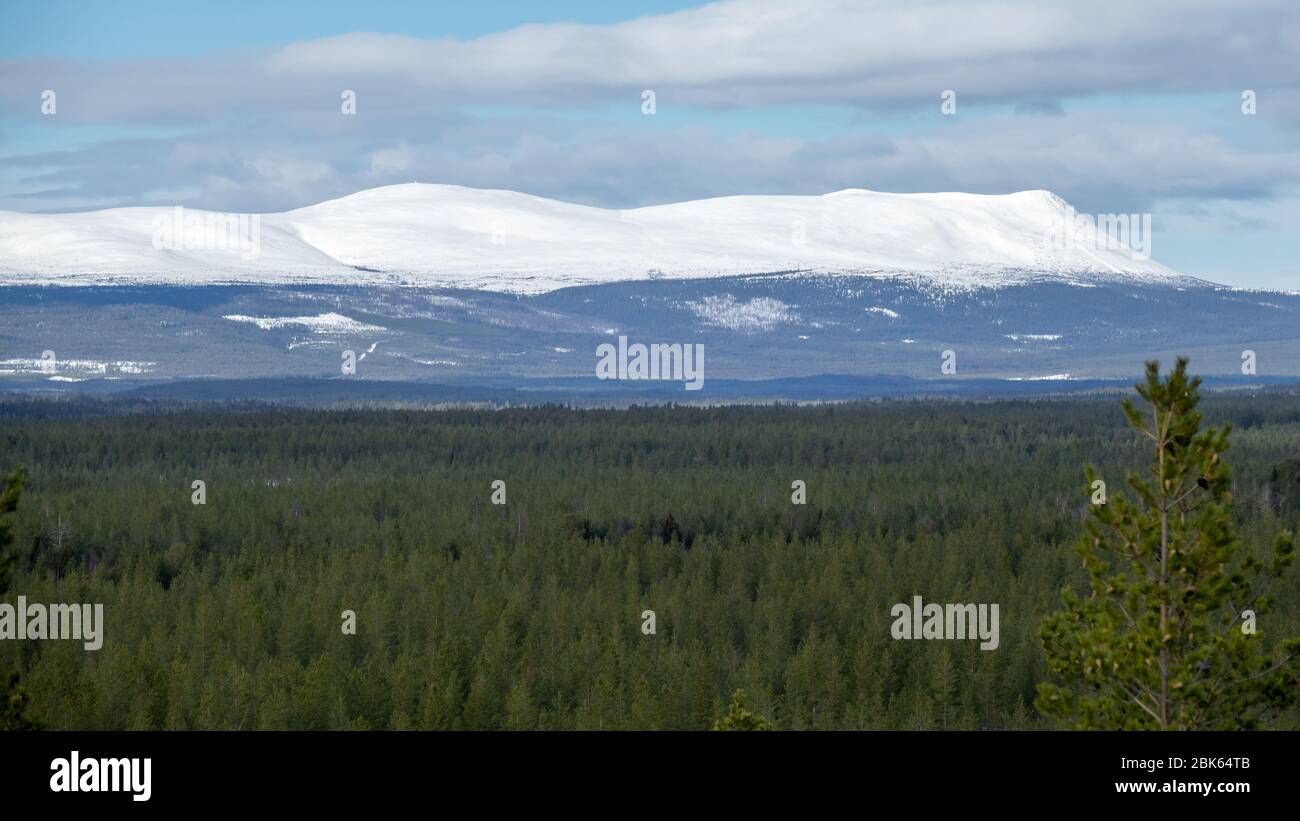 Paesaggio forestale con montagne innevate sullo sfondo. Foto Stock